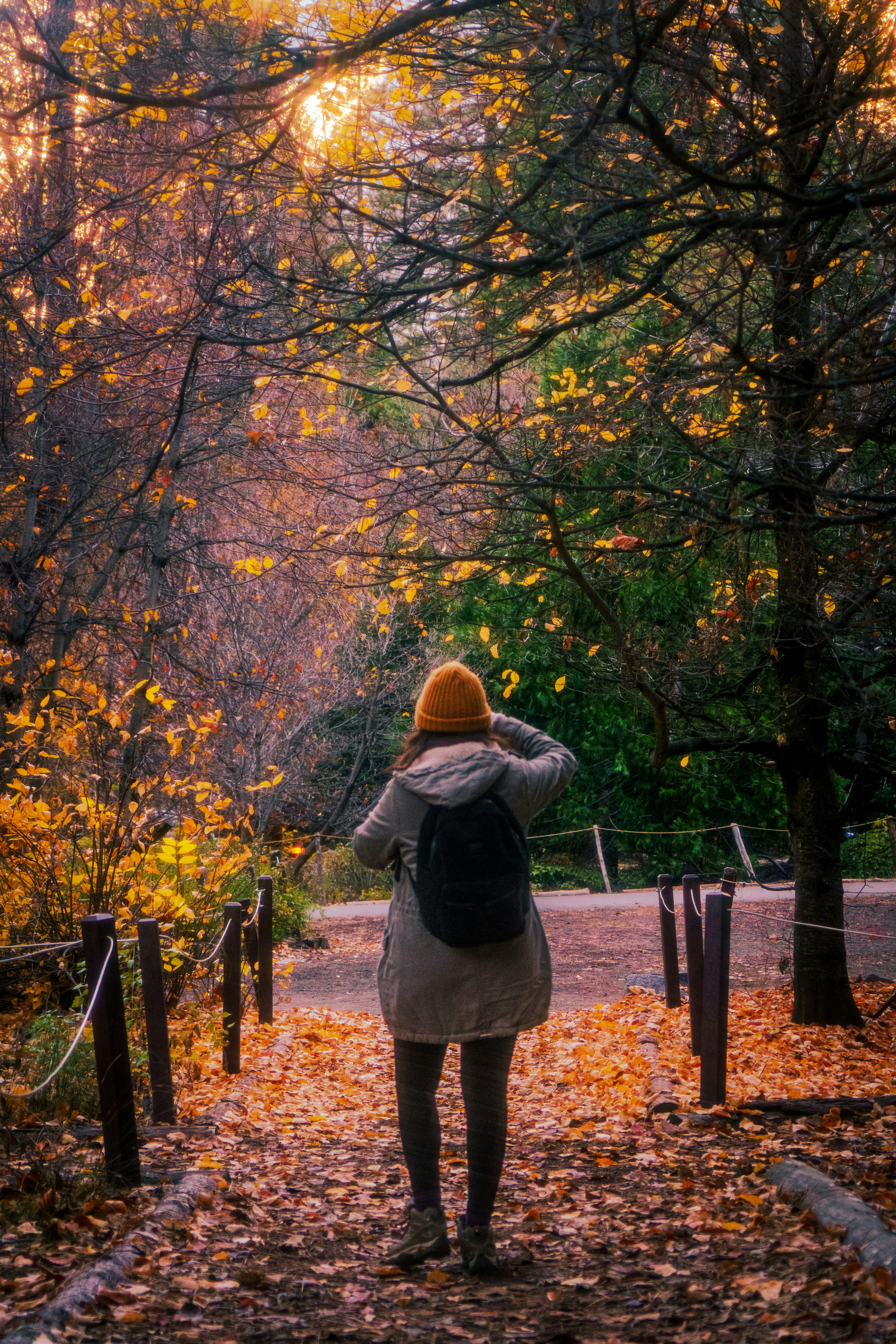 Photo by jeffreykeenan