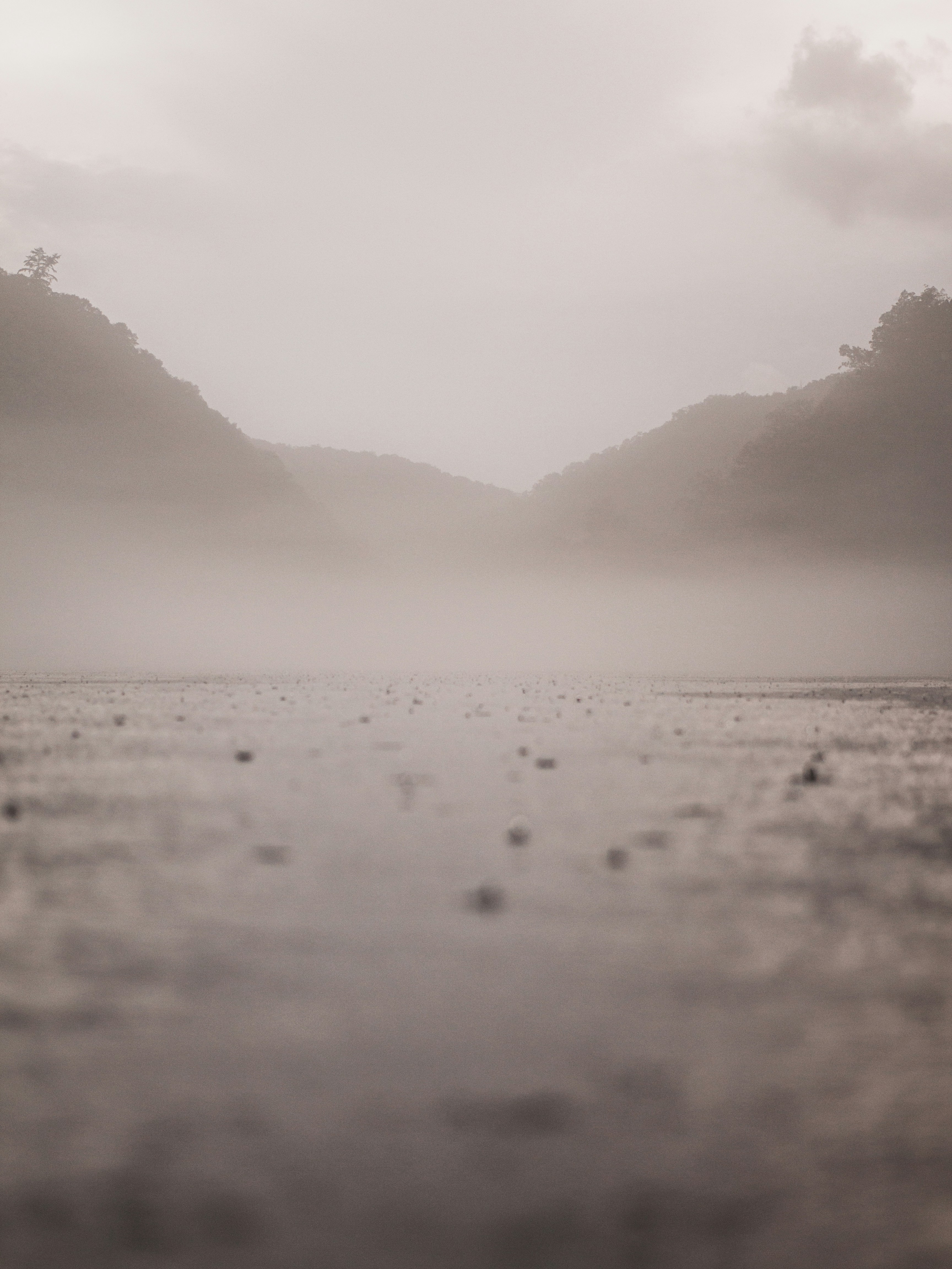 Photo by luckascaldas