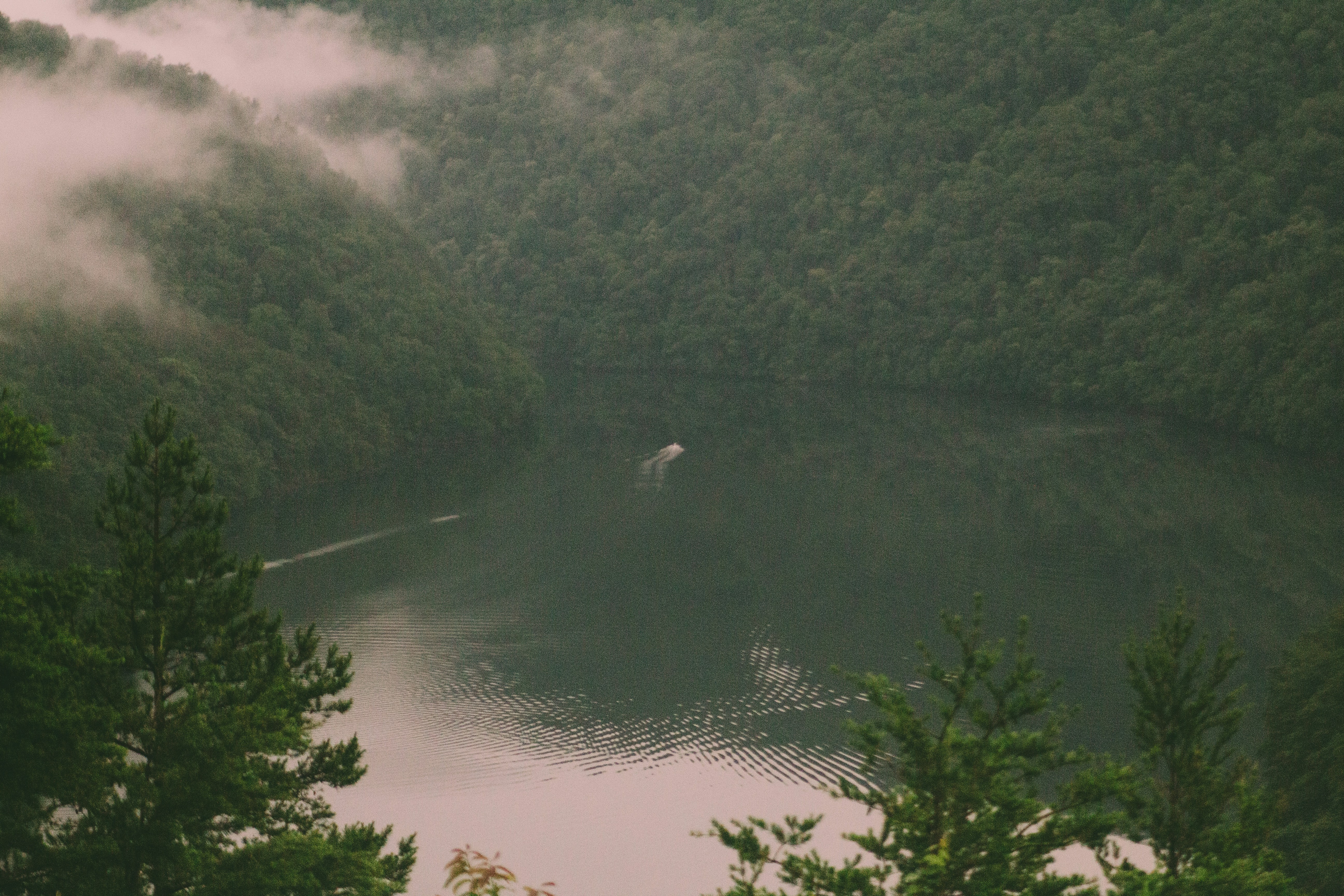 Photo by luckascaldas