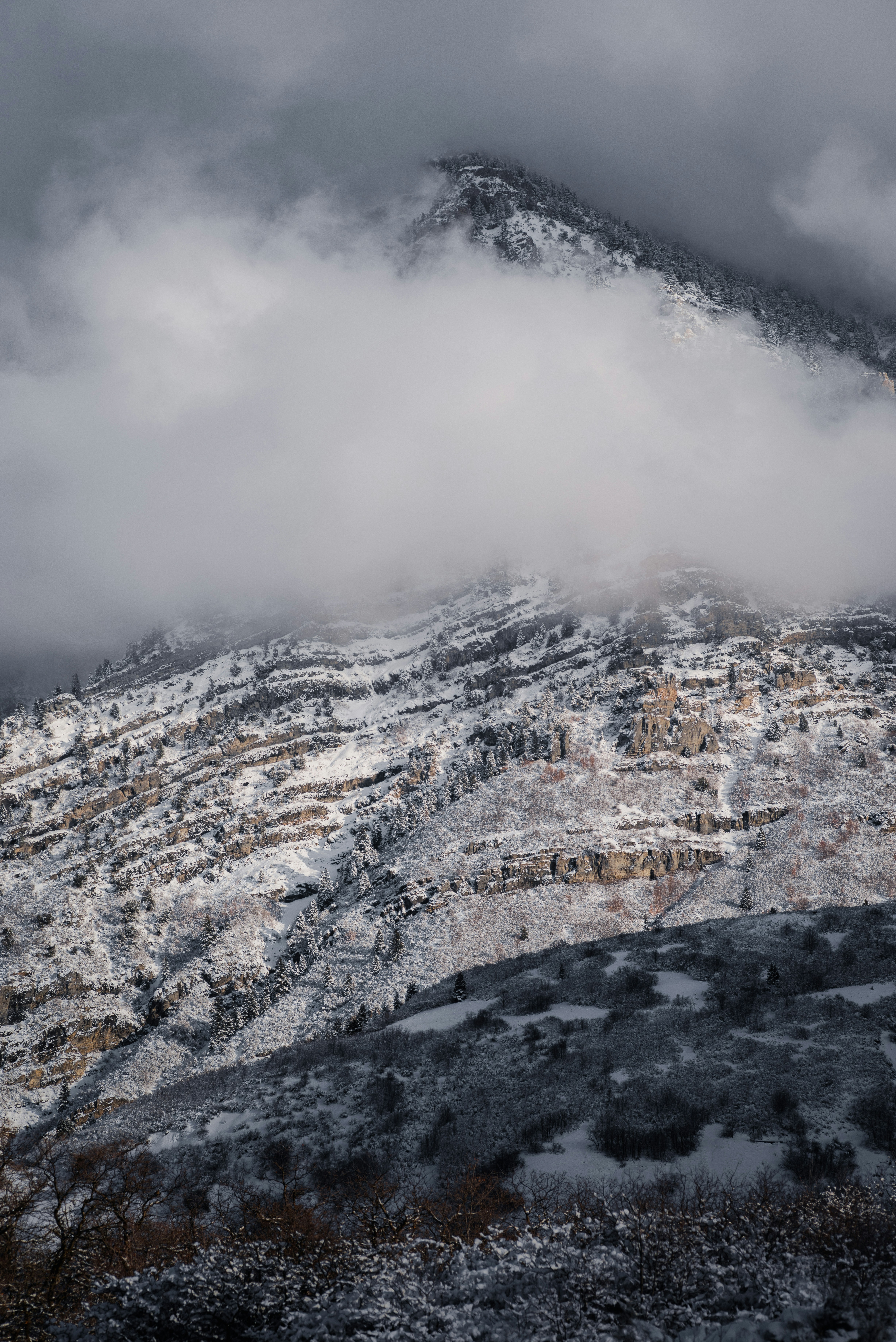 Photo by kalaniparker