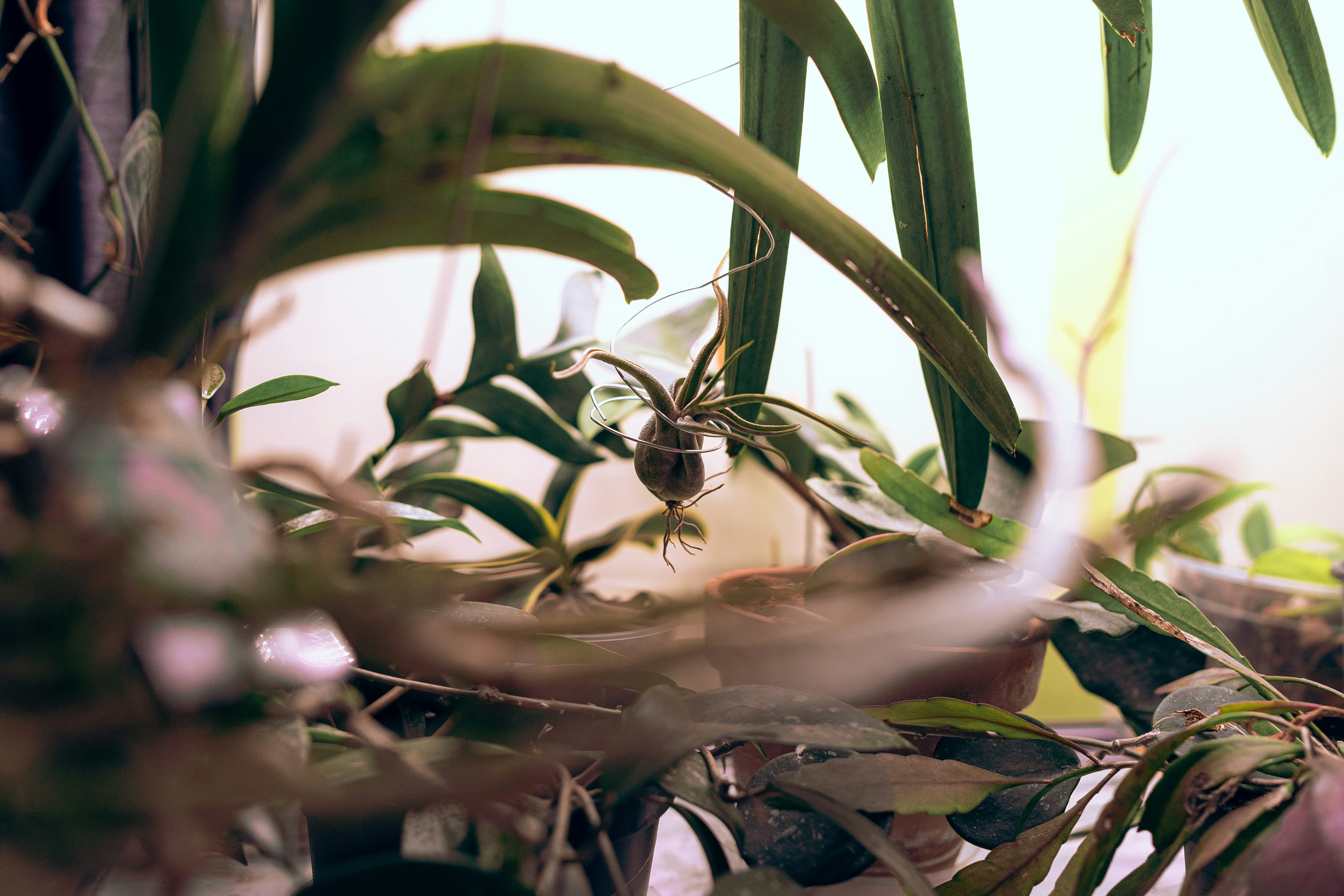 Photo by timothycdykes