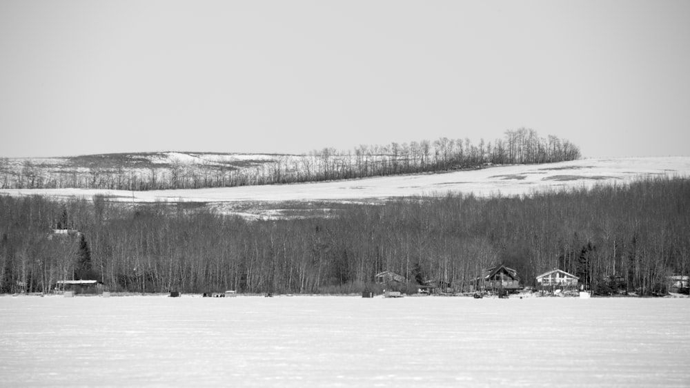 a black and white photo of a snowy landscape