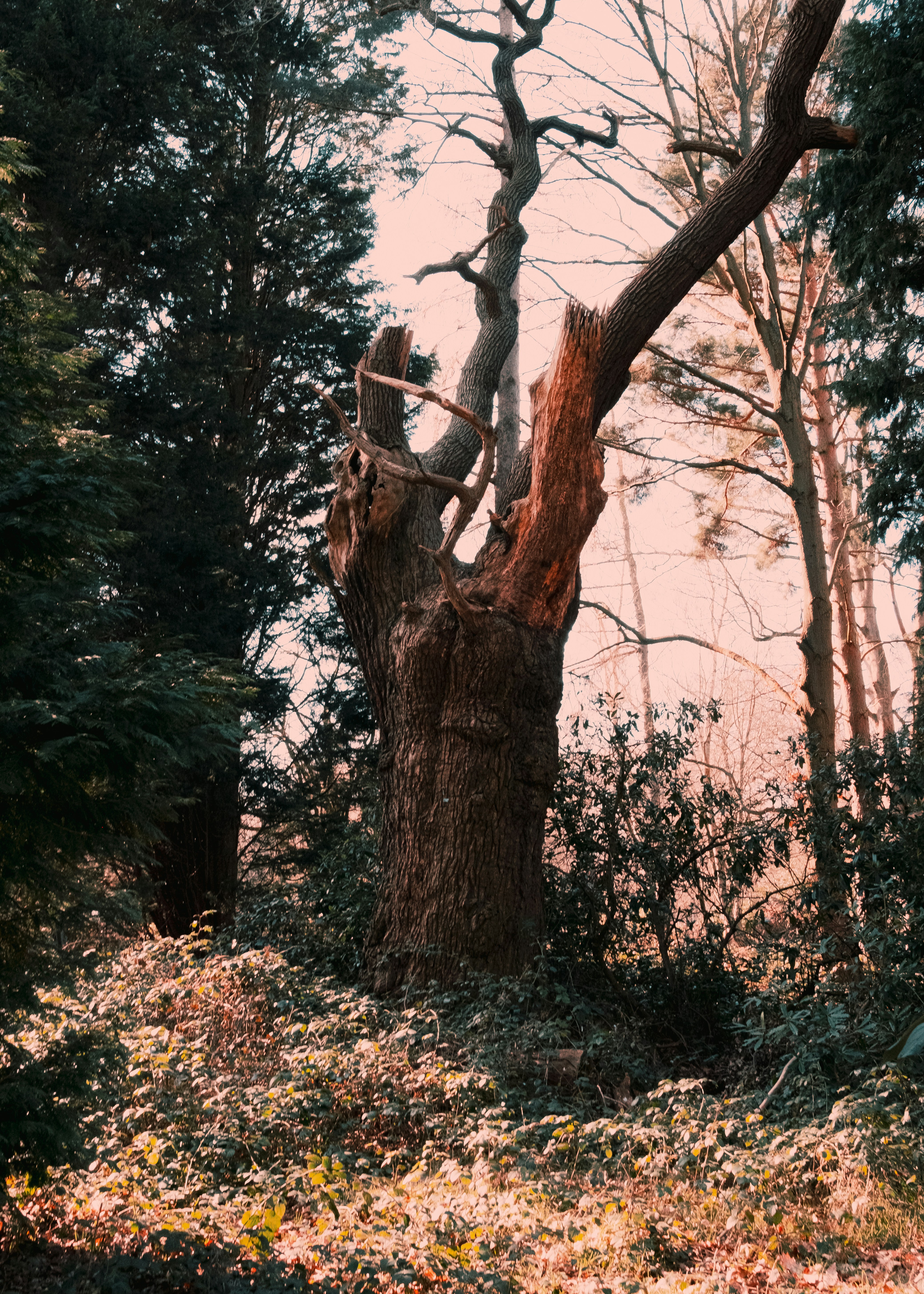 Photo by reganography