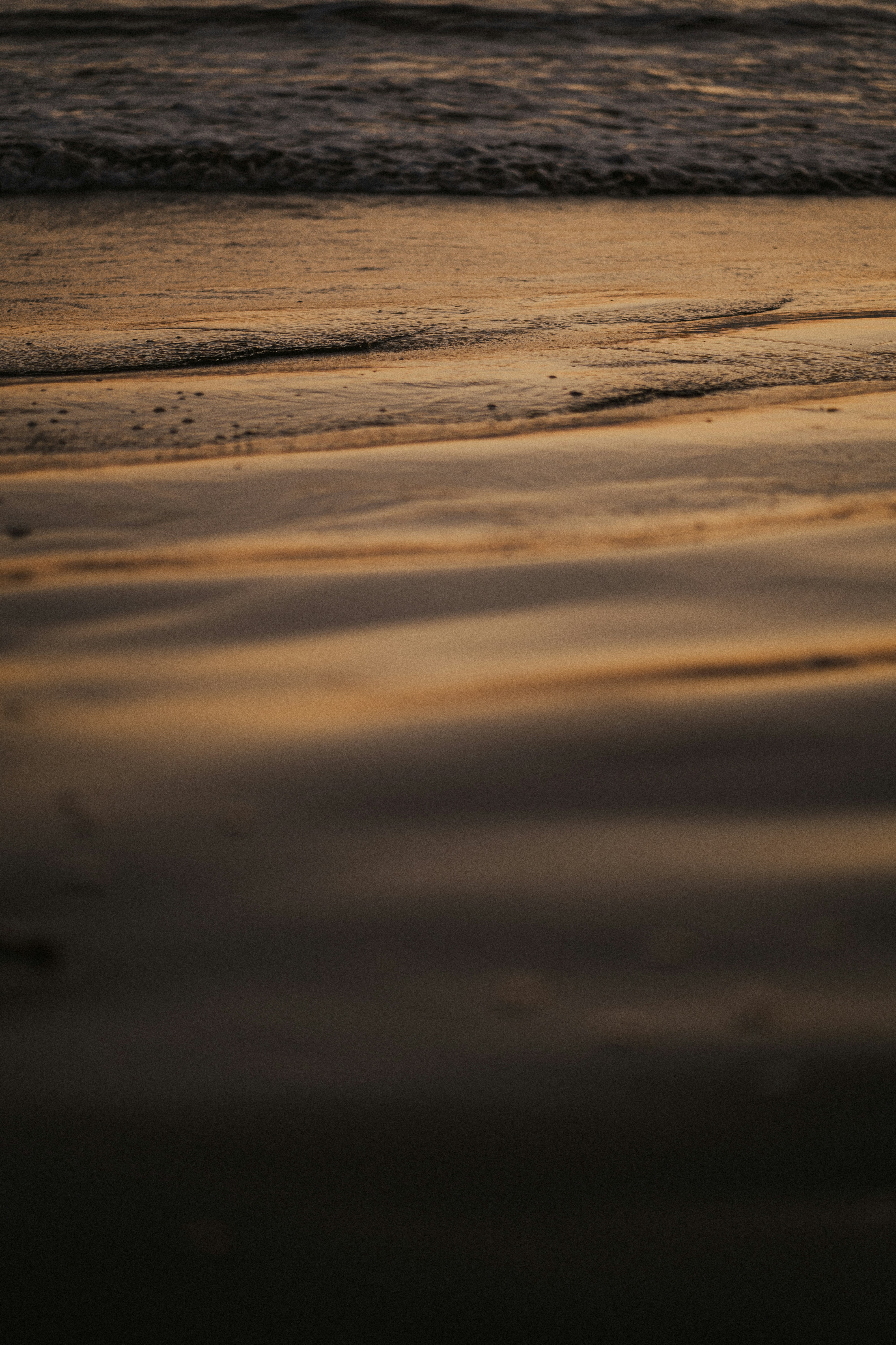 Photo by kalaniparker