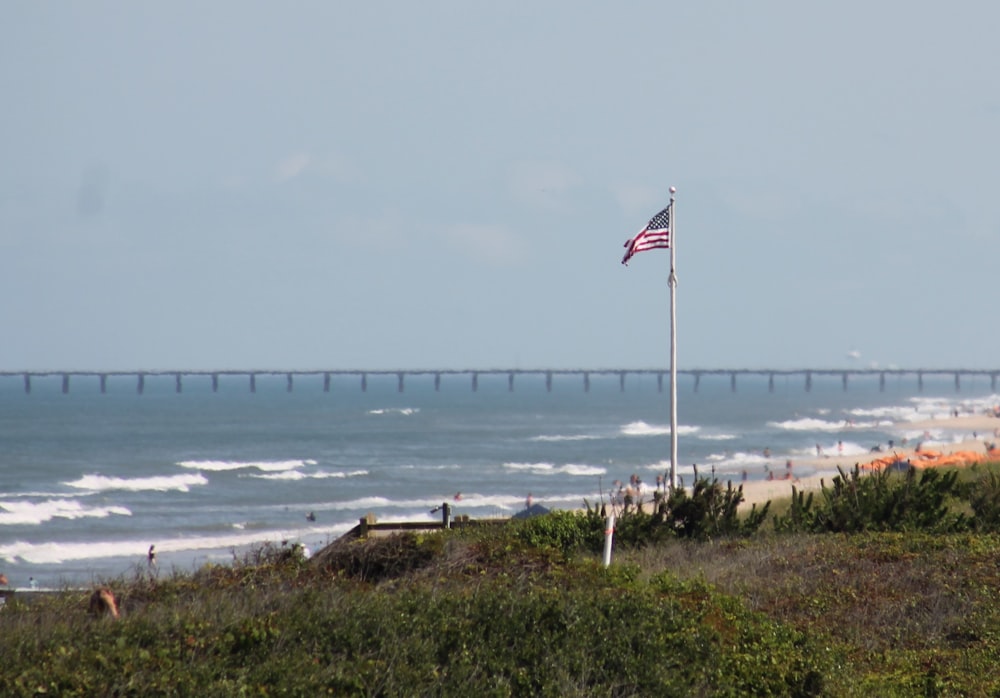 a flag on a pole near the ocean