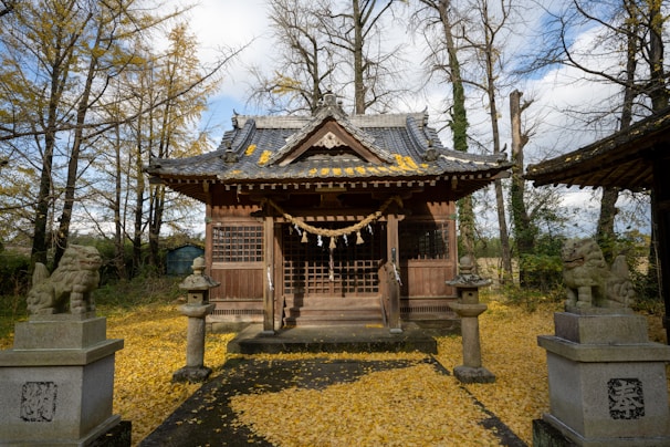 Golden autumn leaves carpeting the stone steps of a historic shrine.
