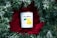 A candle with a white label and a brown lid is placed on a bright red fabric, surrounded by green pine branches with white snow-like accents. The candle label has modern typography and minimalistic design elements.