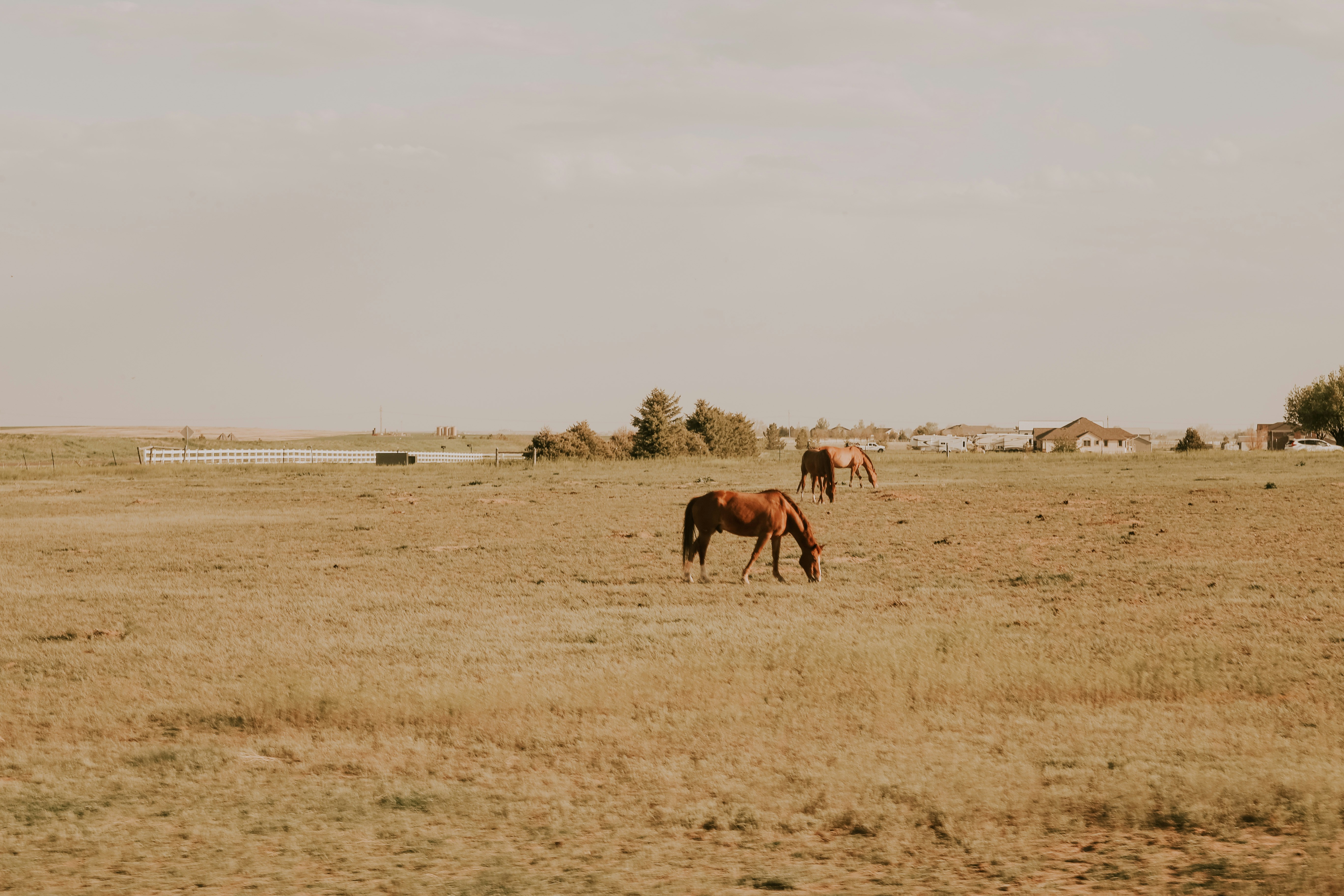 Photo by toriwisephoto