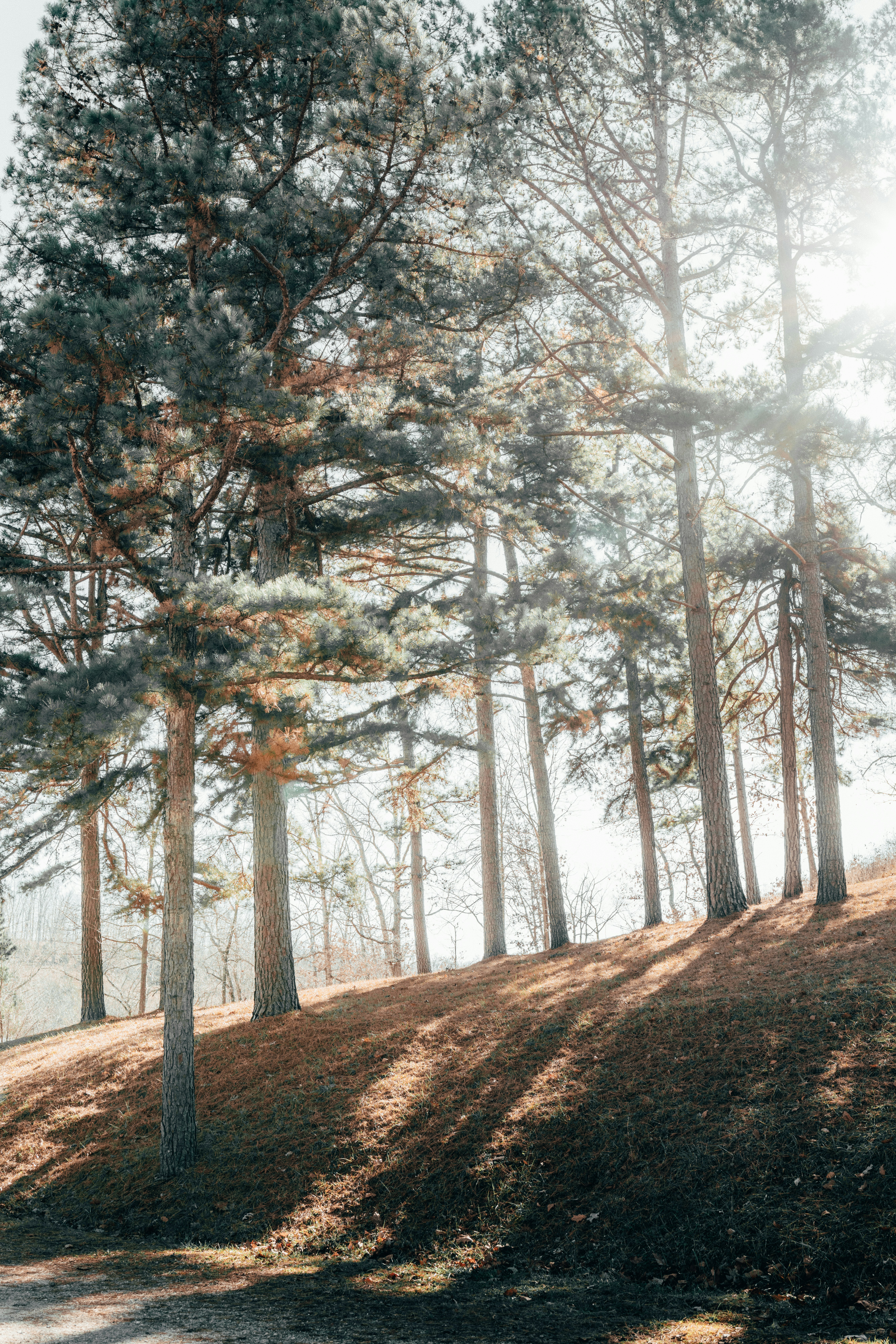 Photo by isthatbrock