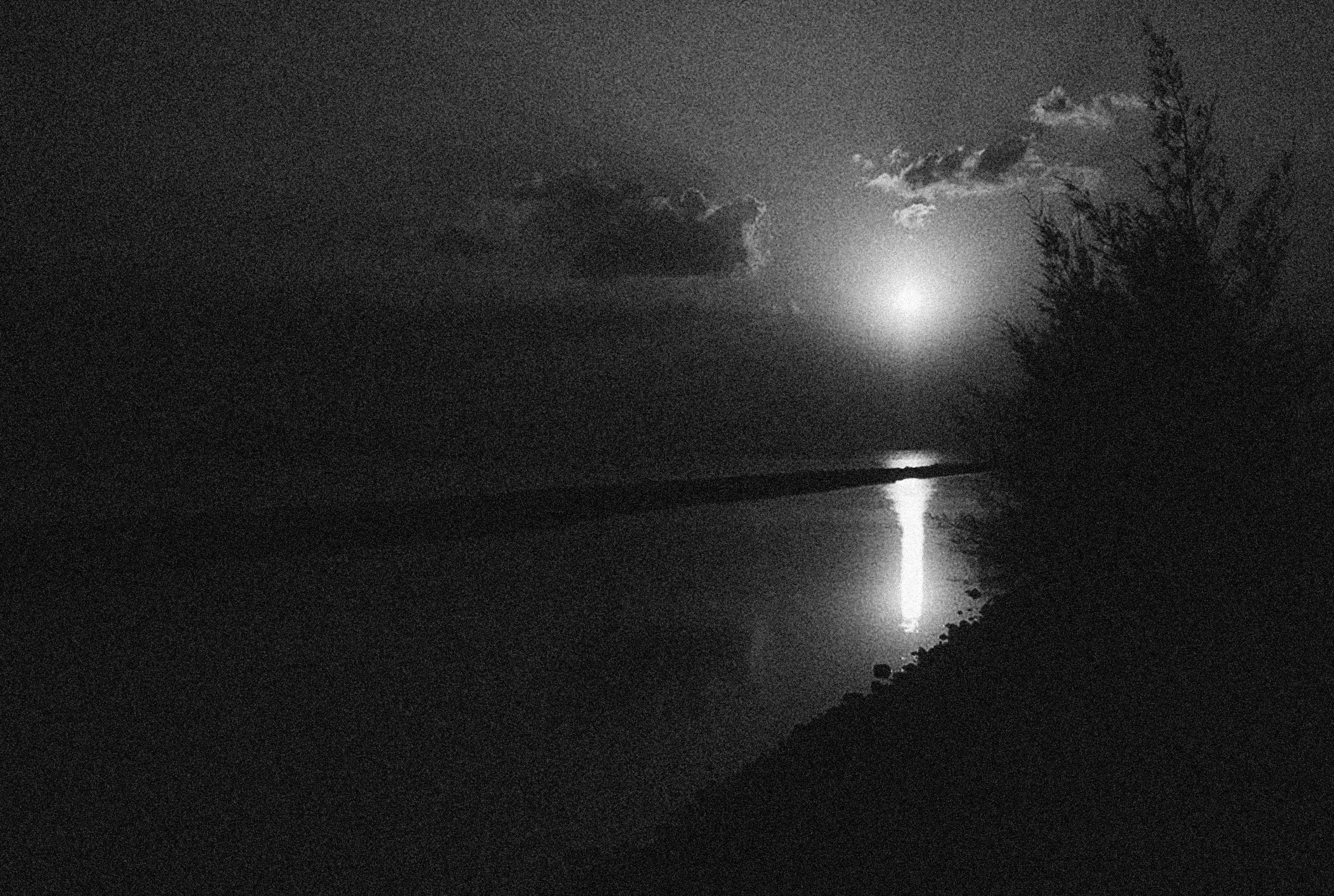 Photo by alexeydemidov