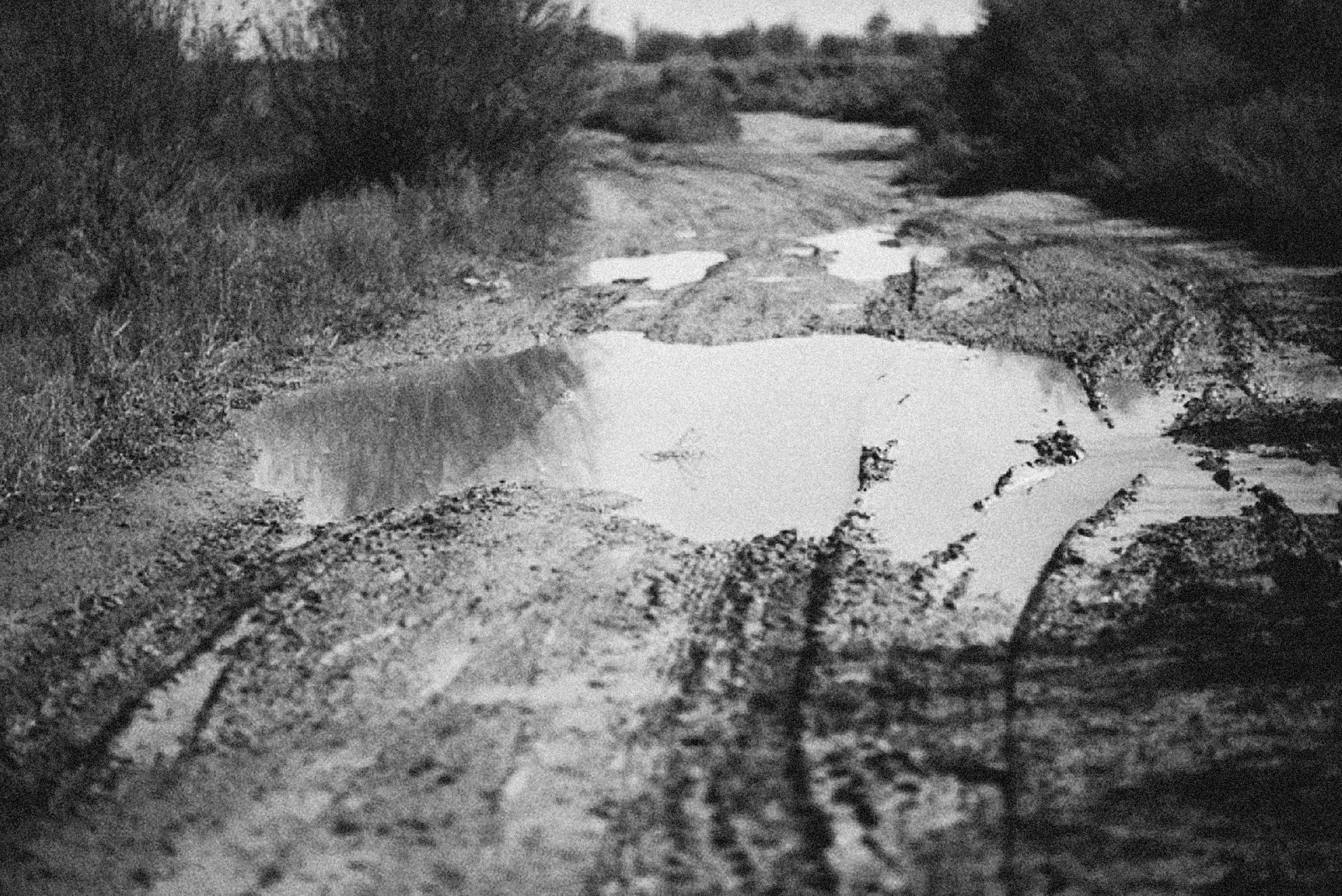 Photo by alexeydemidov