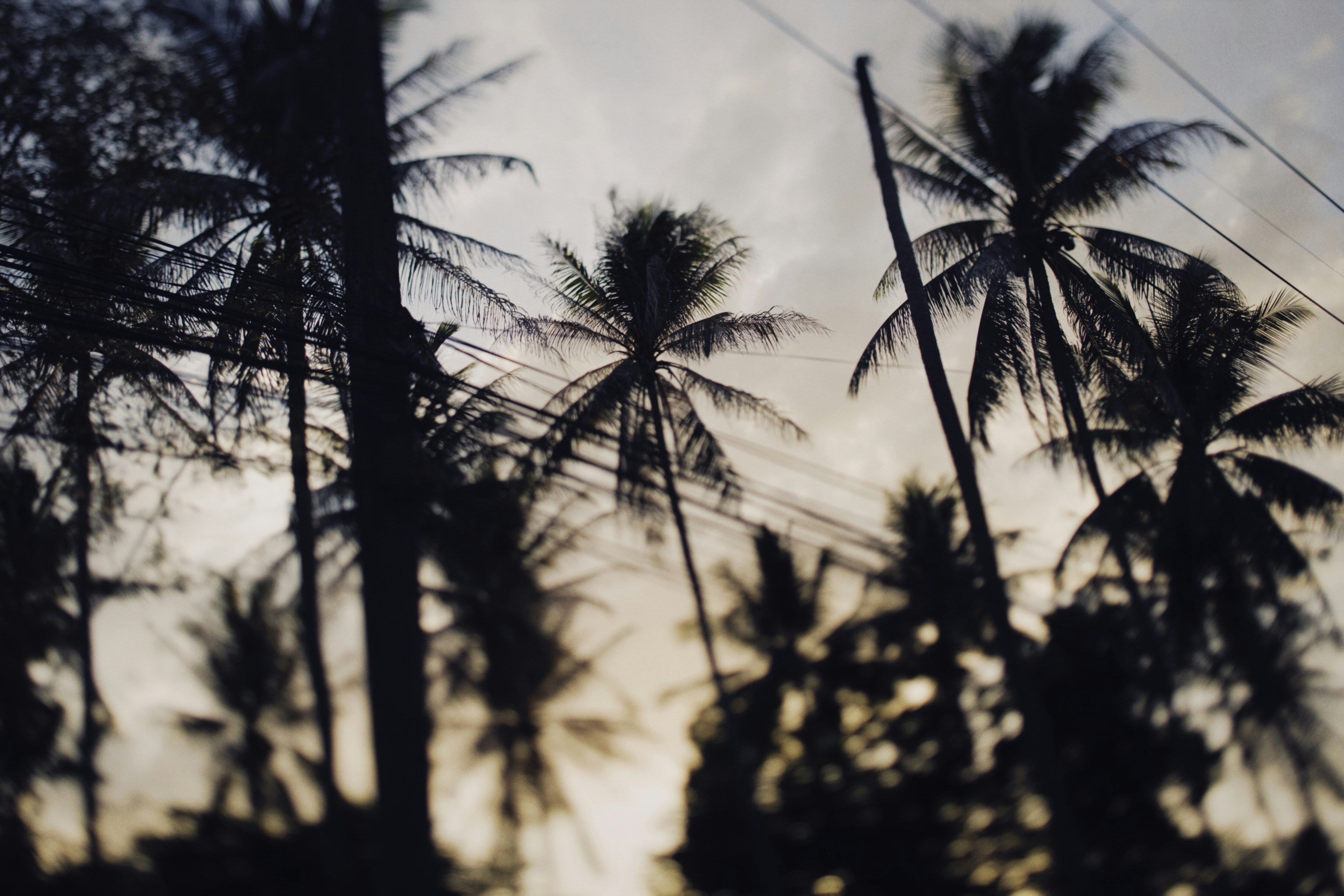 Photo by alexeydemidov