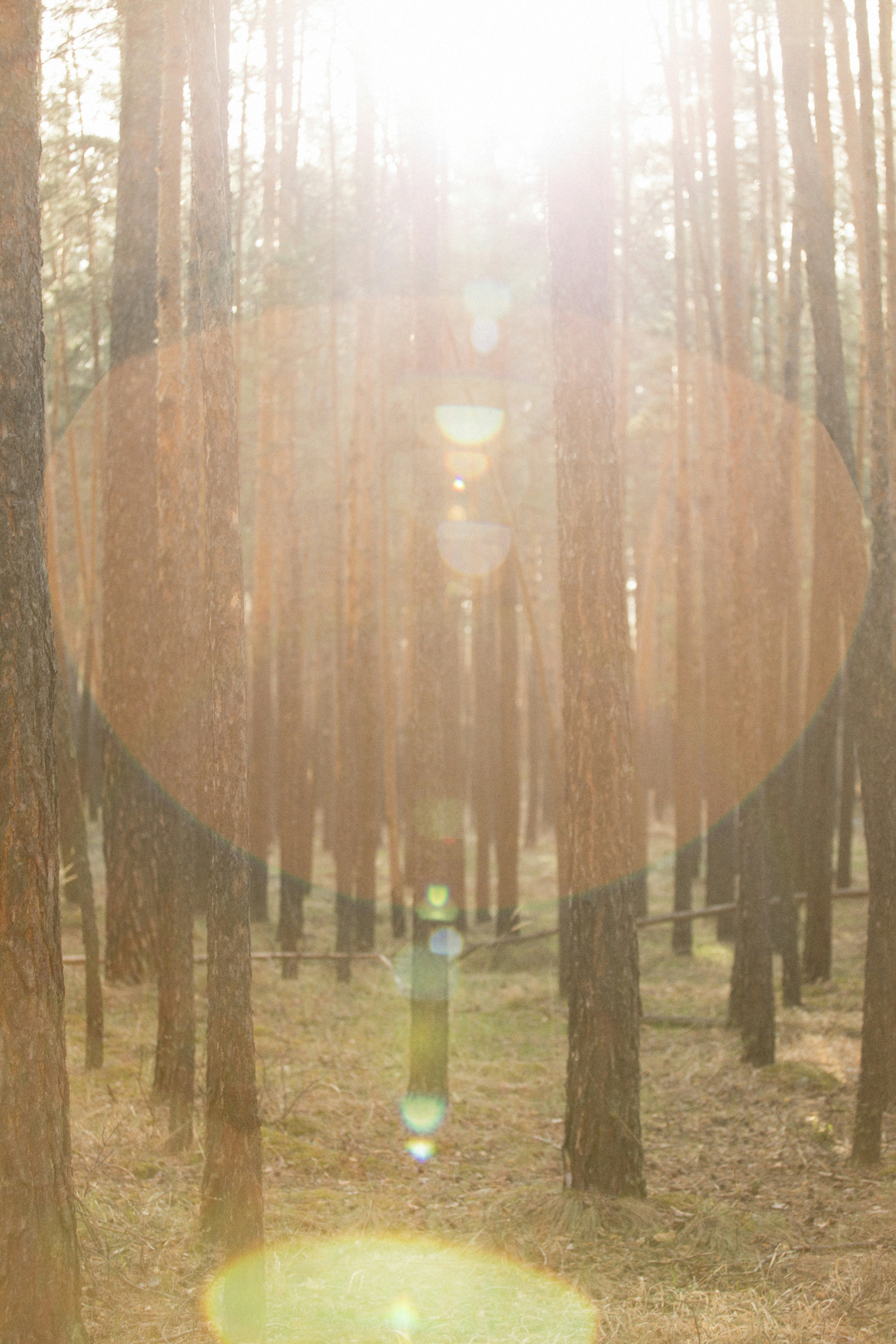 Photo by alexeydemidov