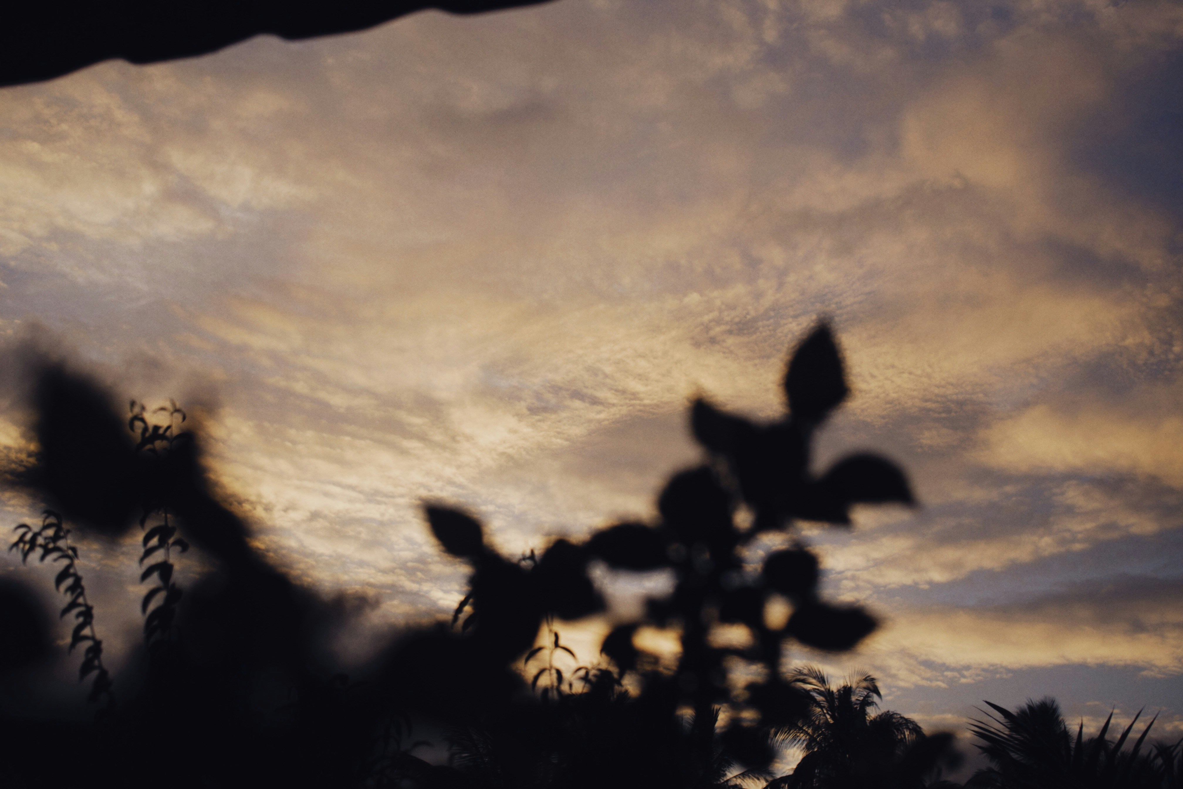 Photo by alexeydemidov