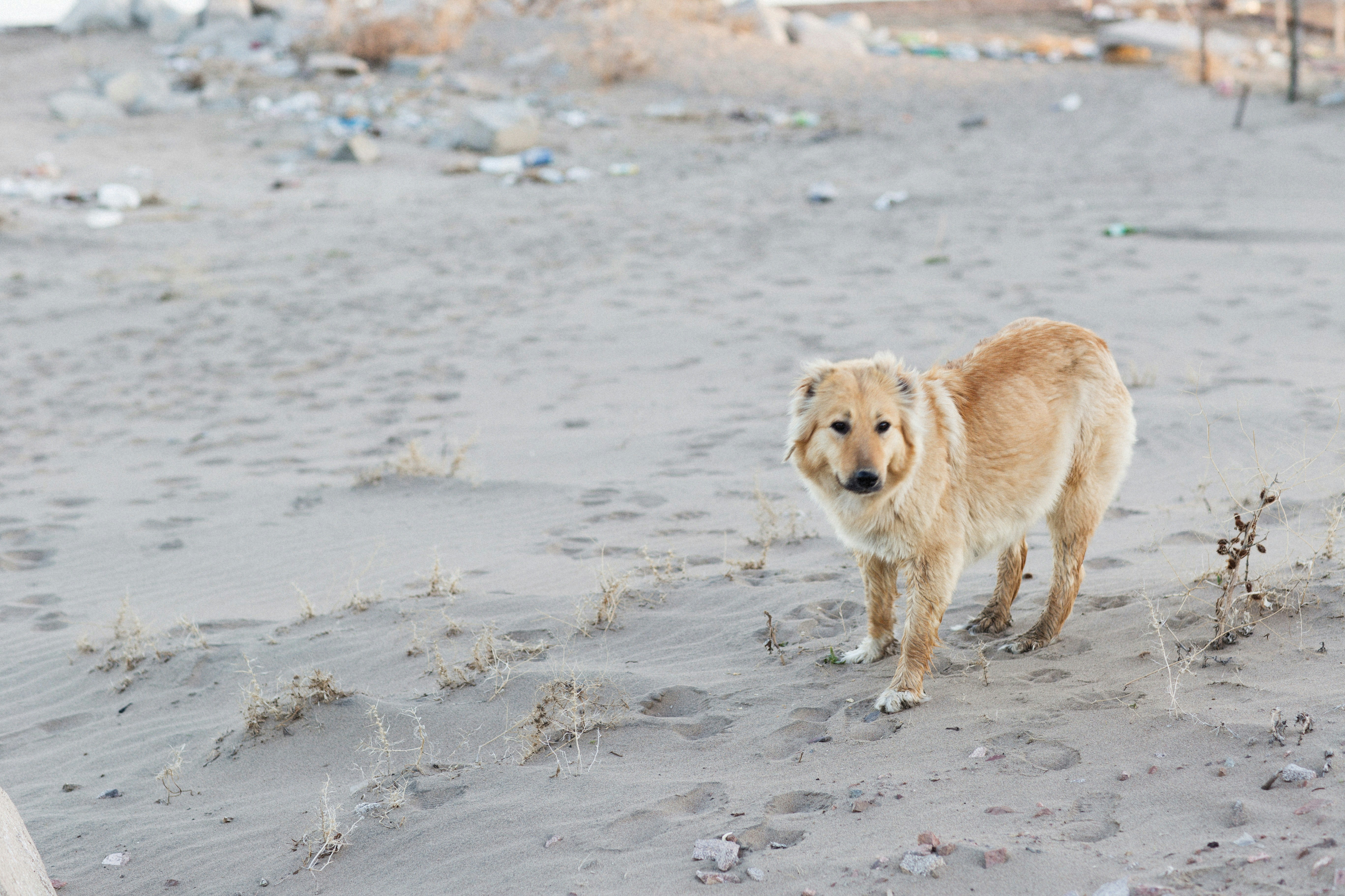 Photo by alexeydemidov