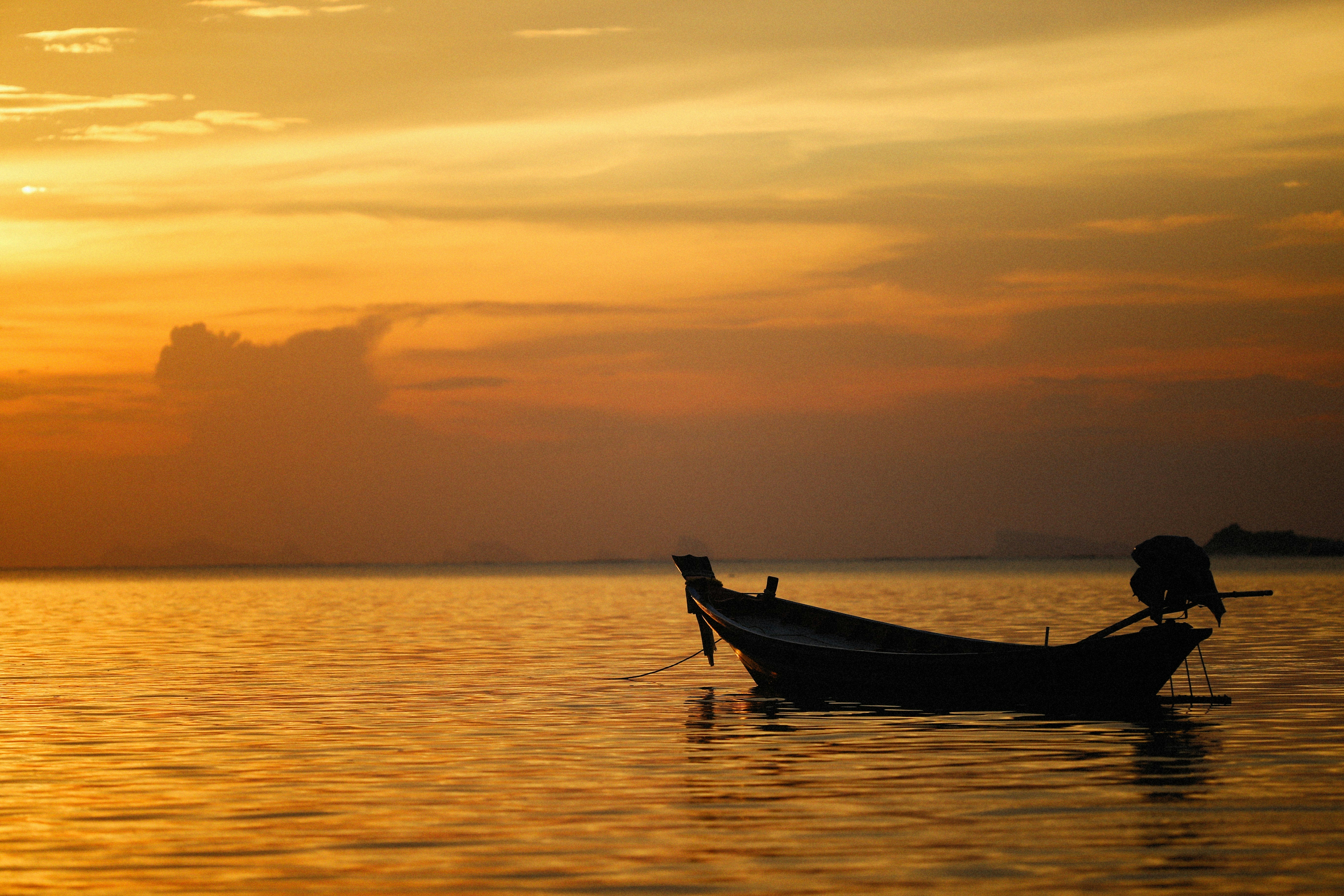 Photo by alexeydemidov