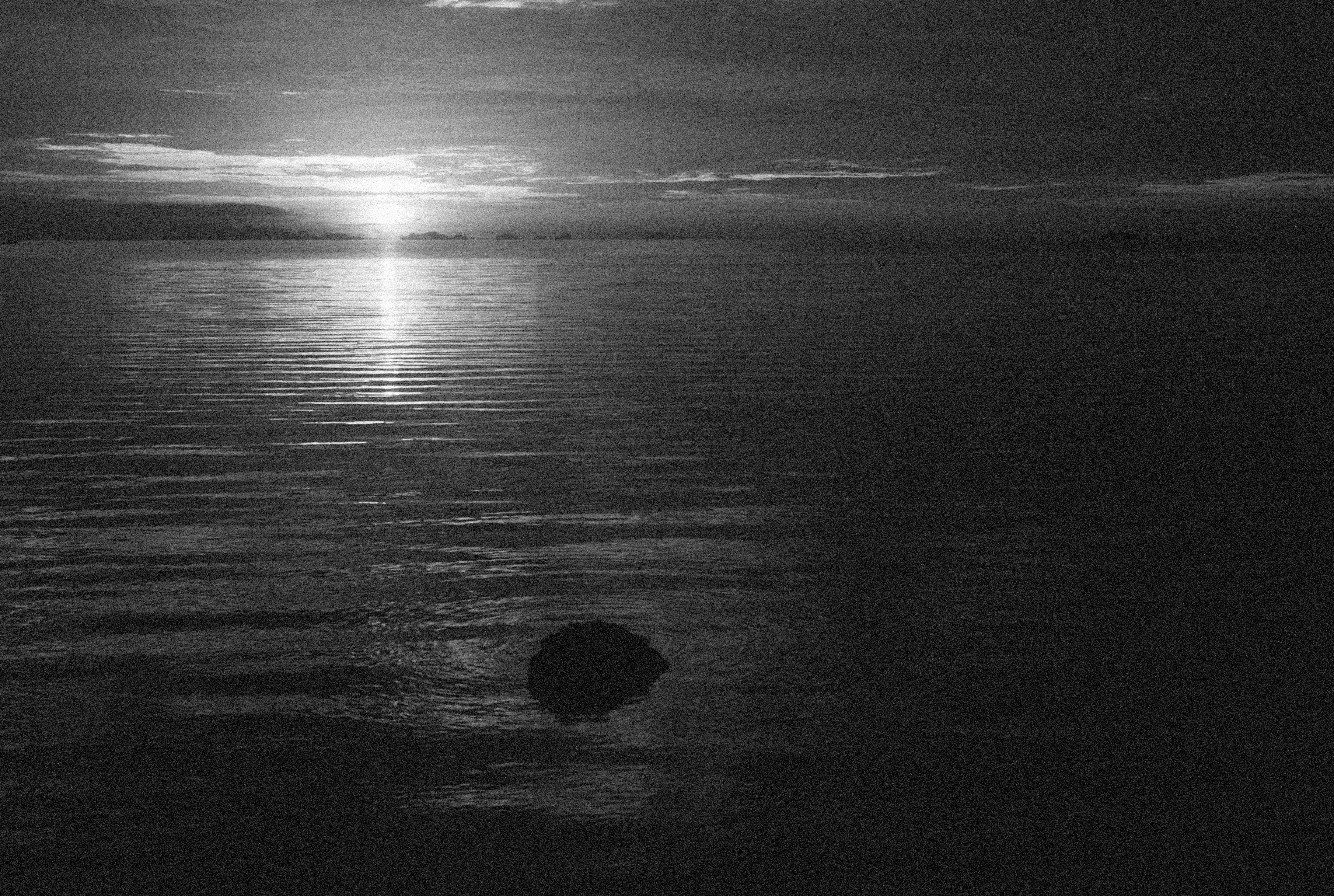 Photo by alexeydemidov