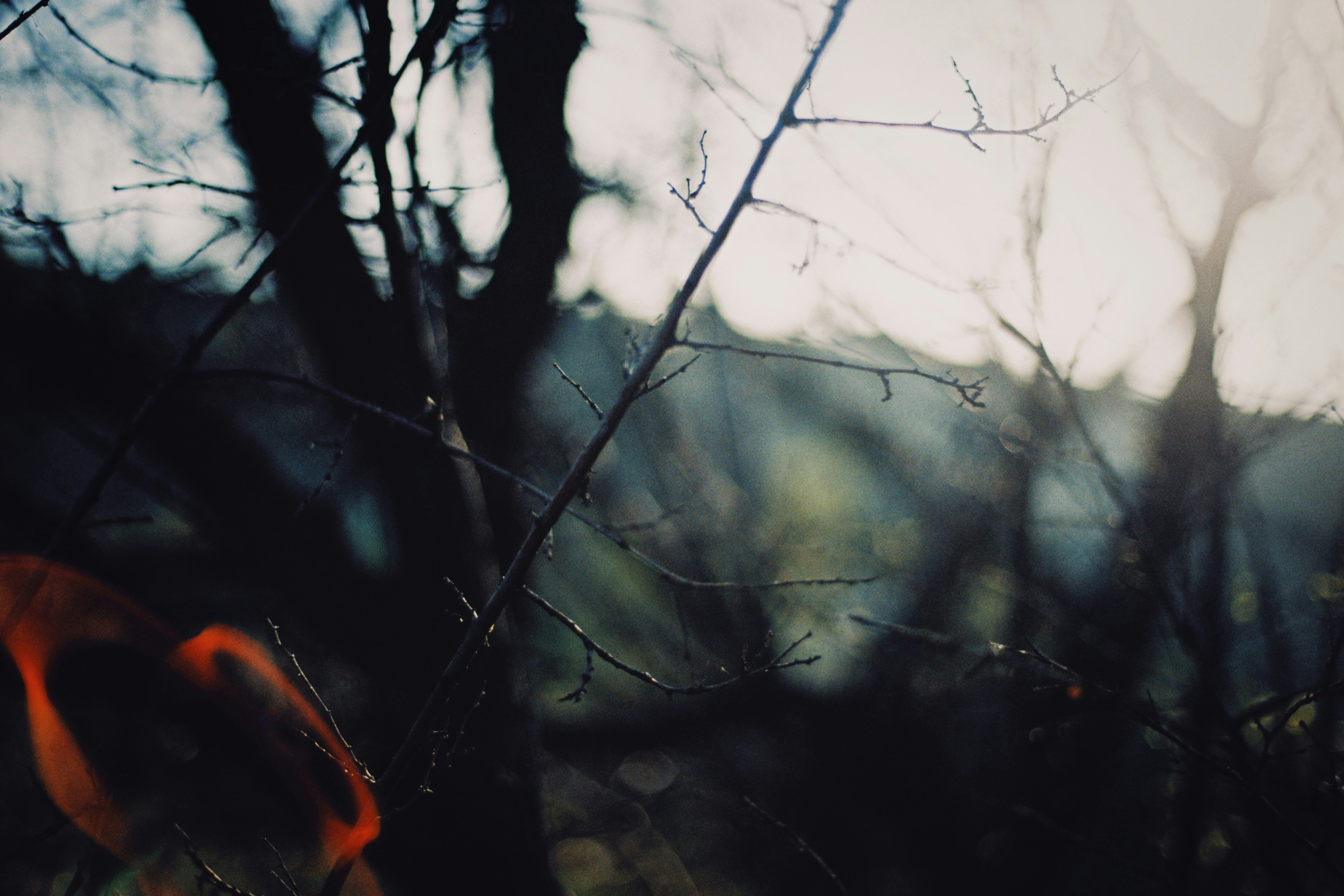 Photo by alexeydemidov