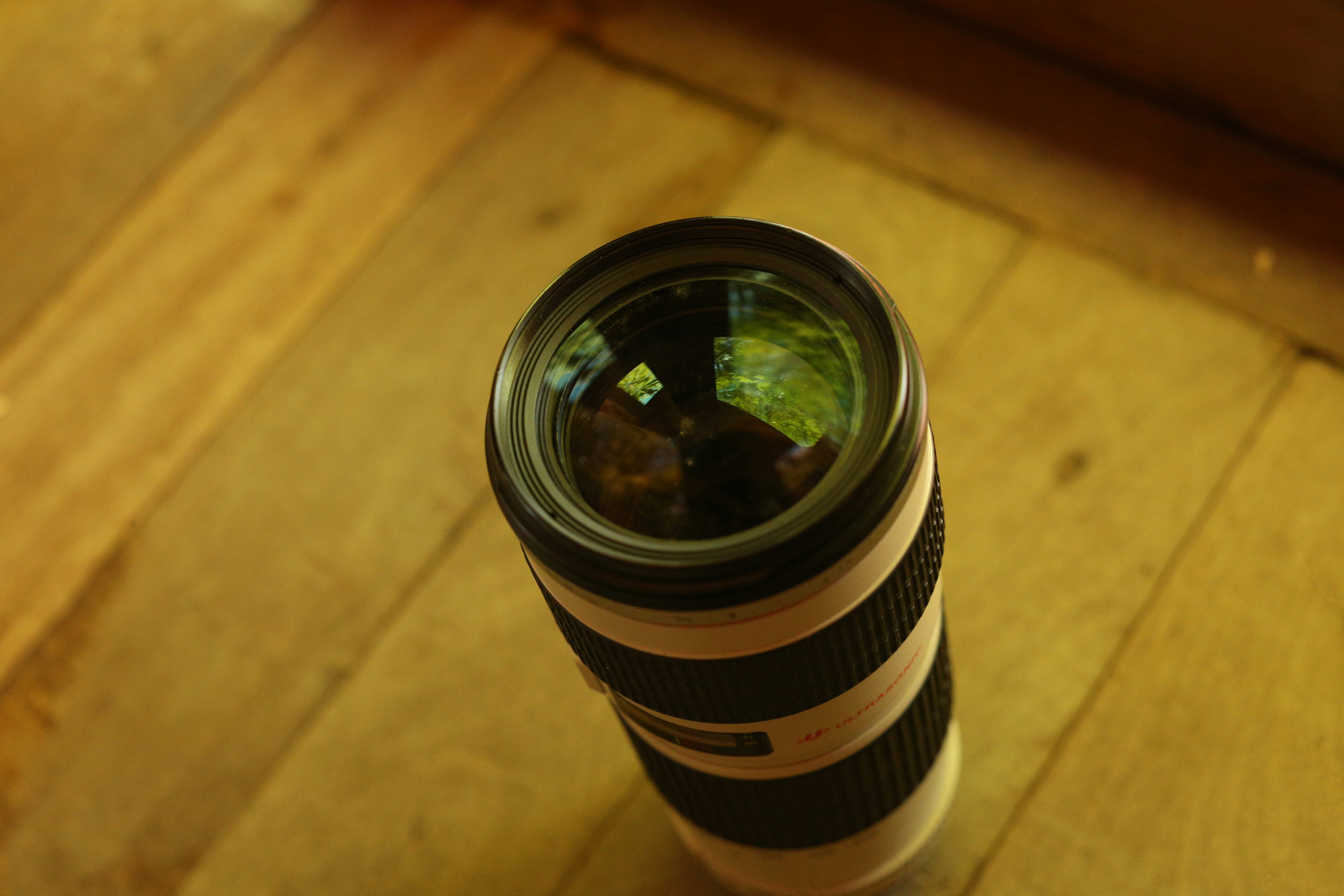 Photo by alexeydemidov