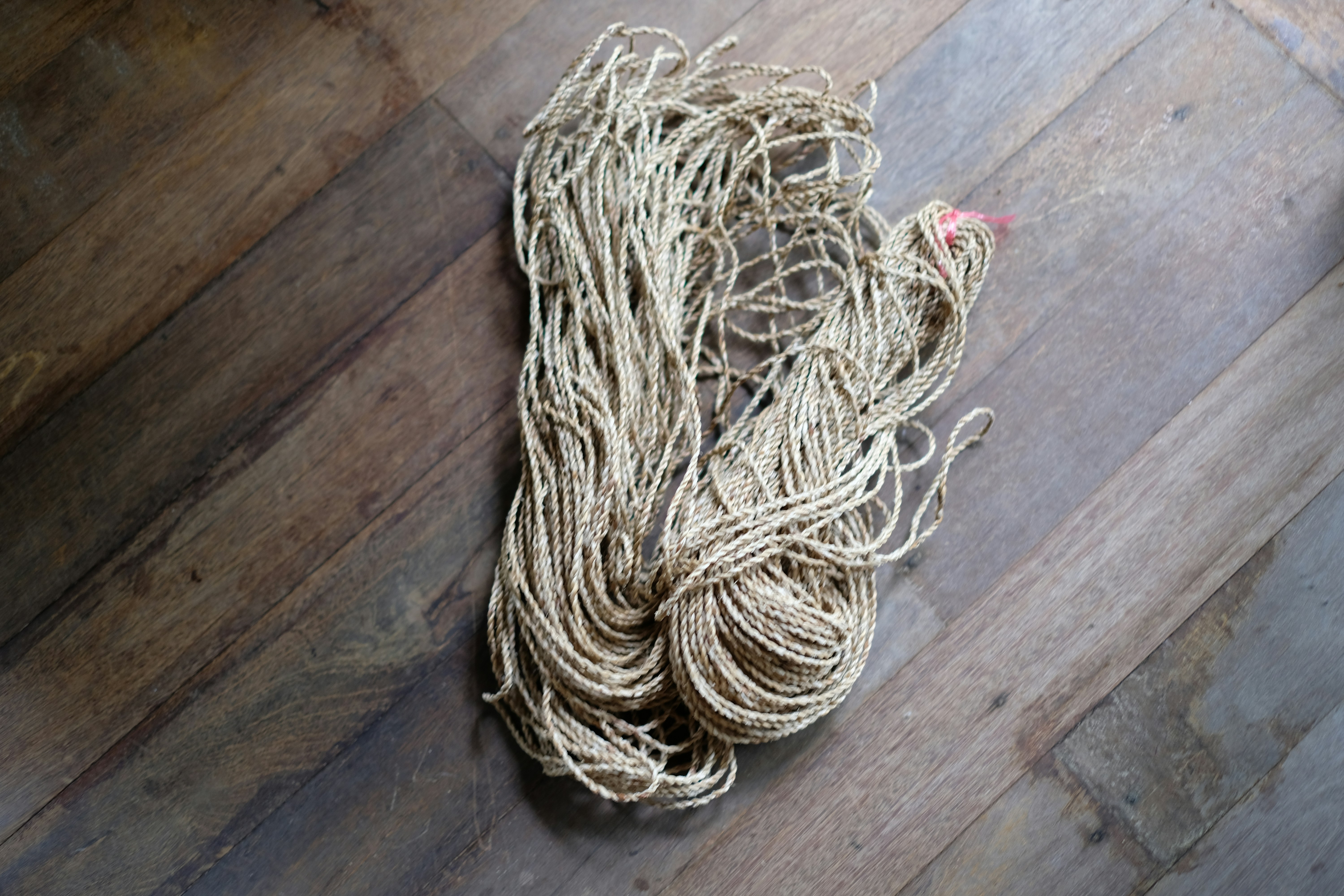 Photo by alexeydemidov