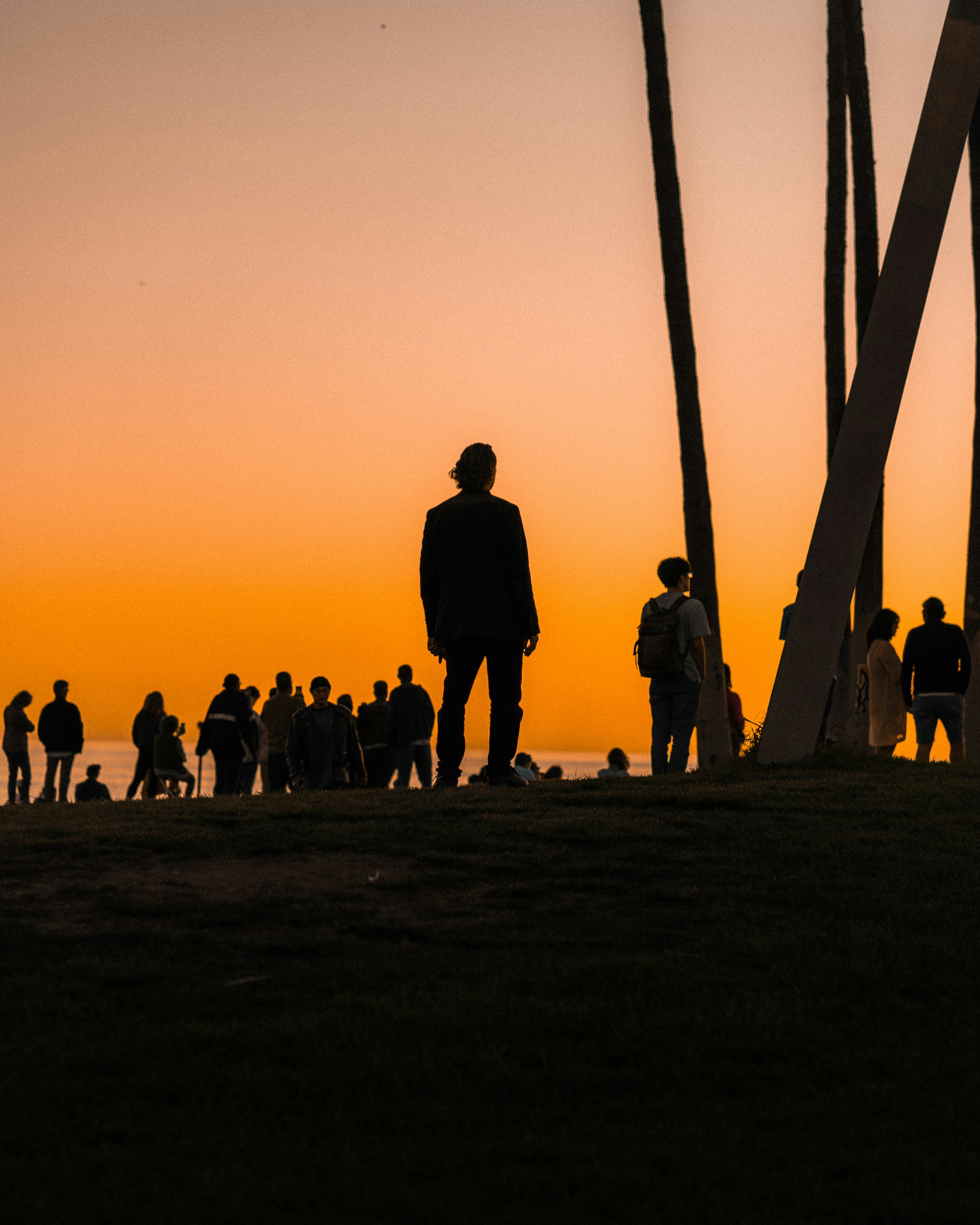 Photo by david7photog