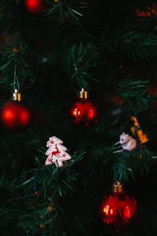 Green Christmas tree branches adorned with shiny red baubles, a white ornament in the shape of a tree with a red reindeer design, and a small figurine of an animal.