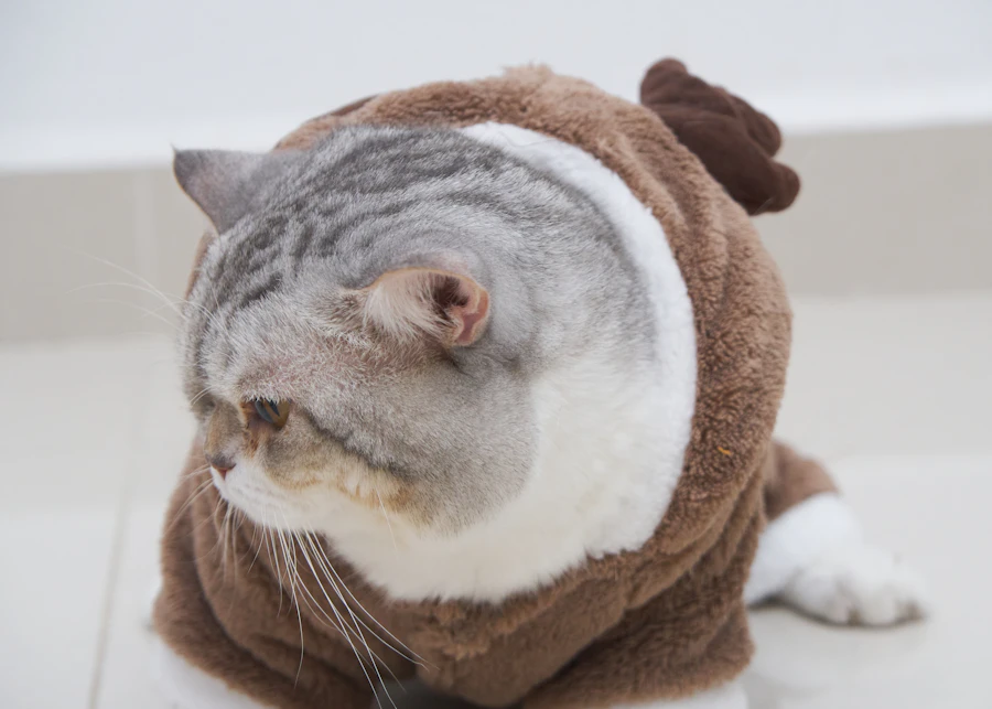 Gato con disfraz de capucha marrón
