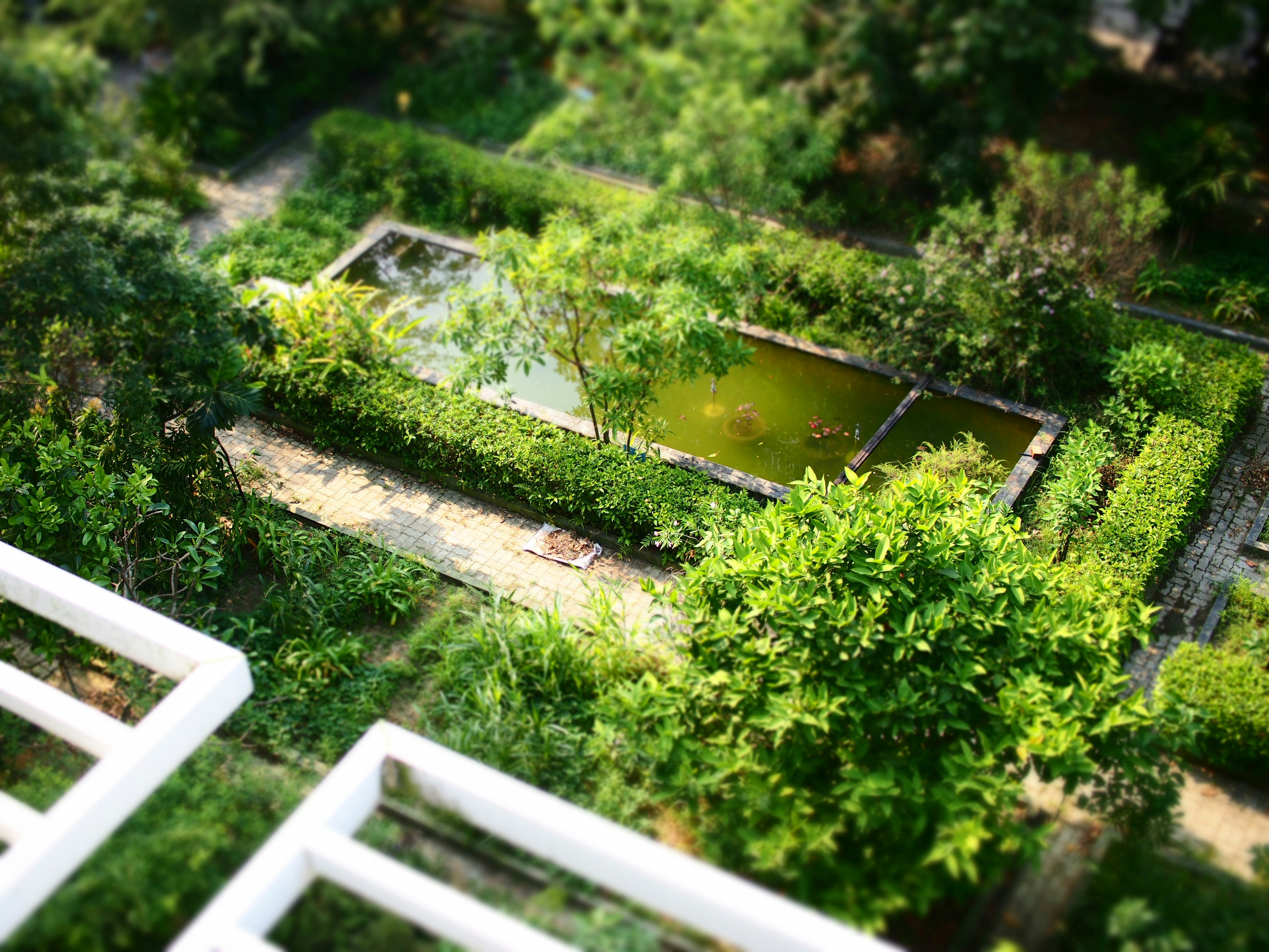 An aerial view of a lush green garden photo – Free Land Image on Unsplash