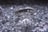 A large, clear diamond is placed on a surface covered with smaller sparkling crystals. The diamond's facets are sharply defined, and it reflects light brilliantly, creating a luminous effect. The surrounding crystals vary in size and enhance the overall shimmer.