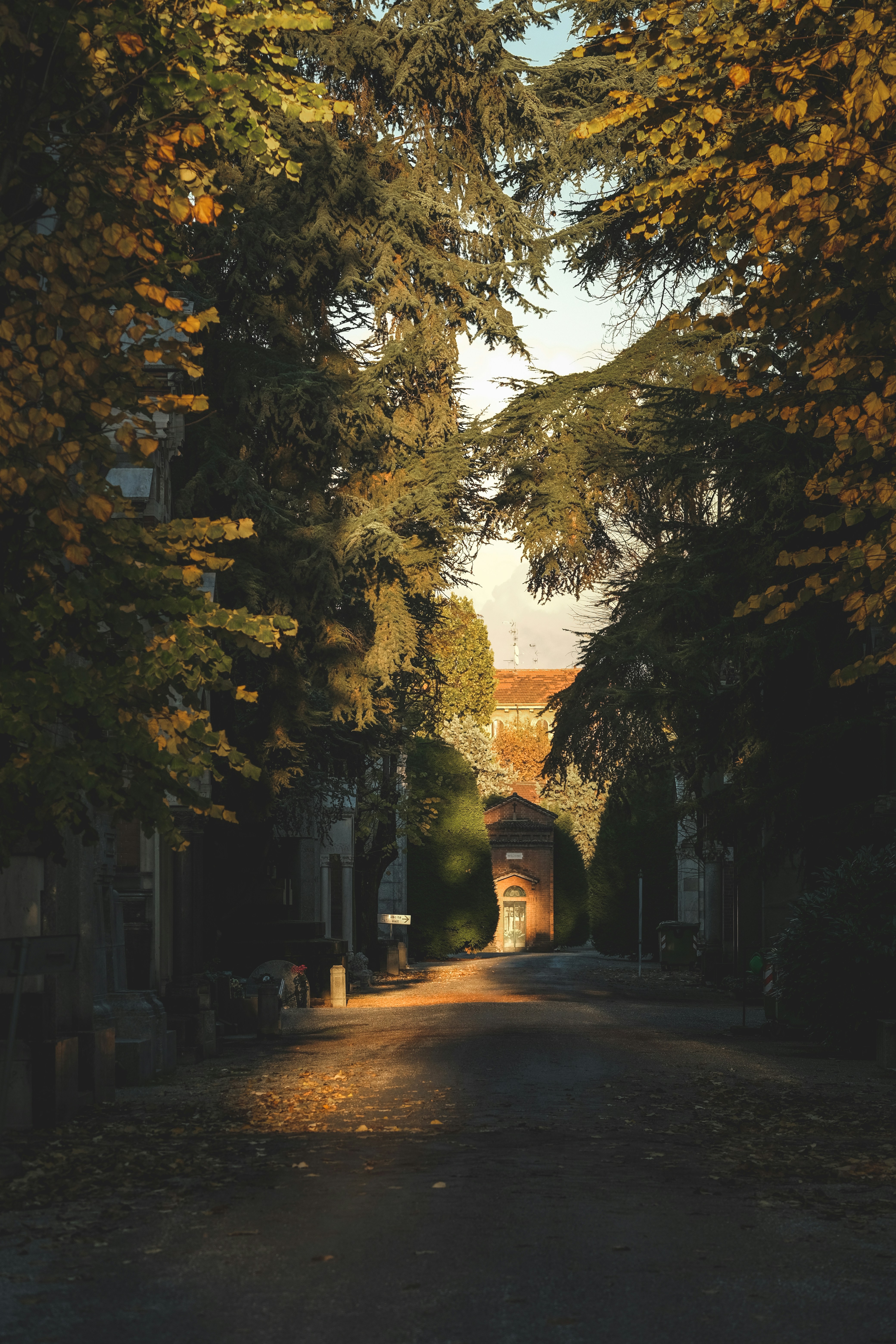 Photo by francesco_ungaro