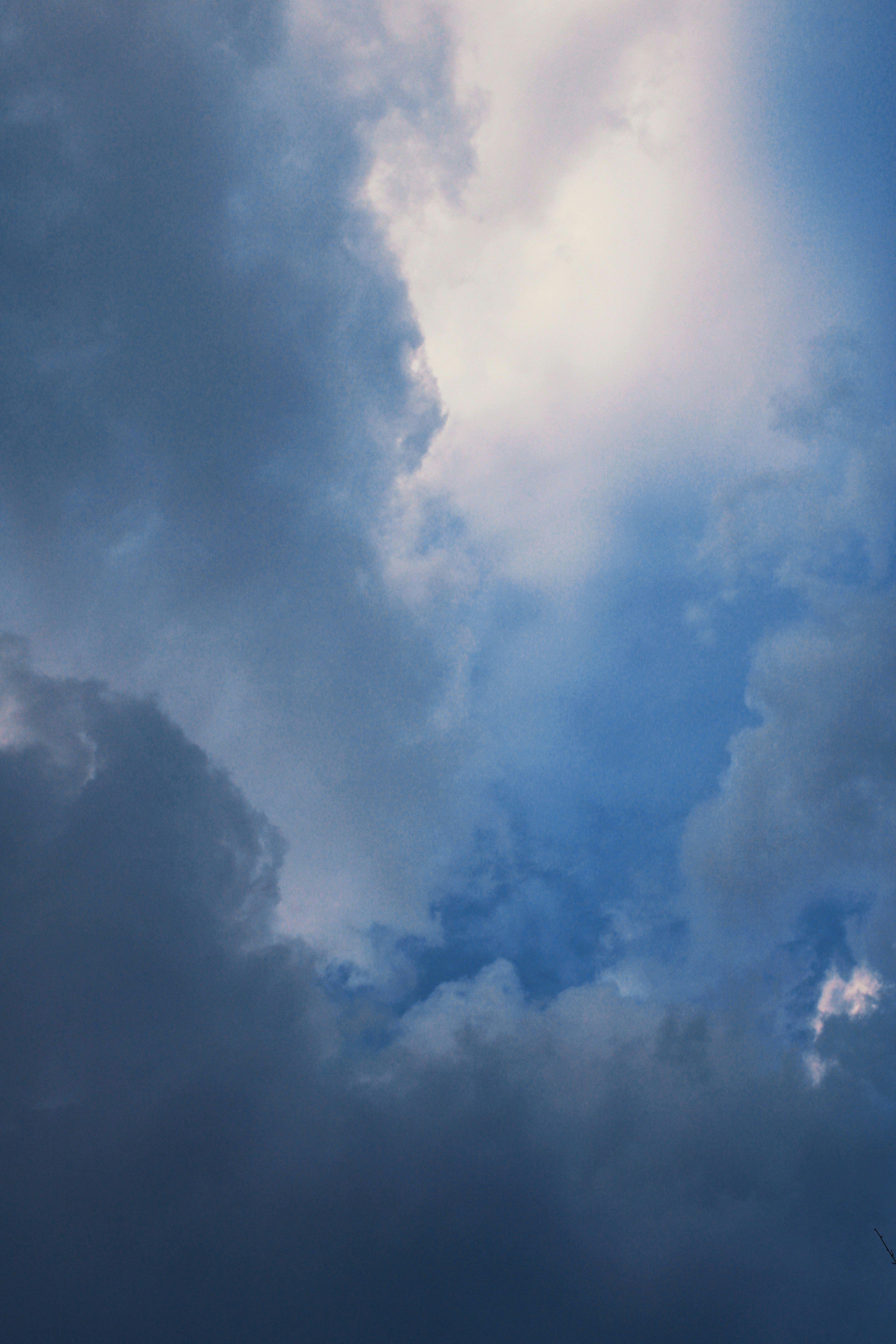 Photo by sanikavartak