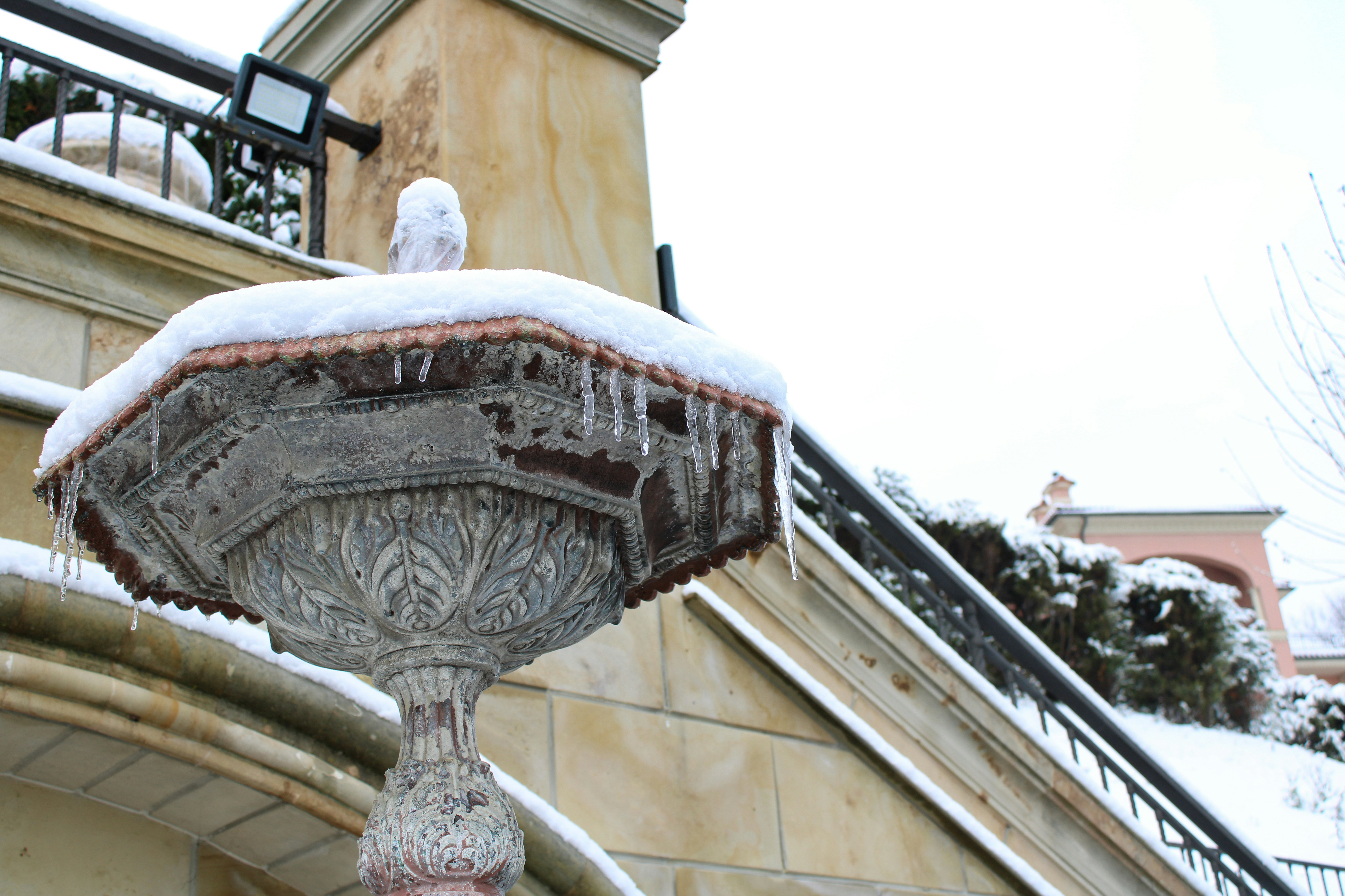 Image by Nadiia Ganzhyi via Unsplash