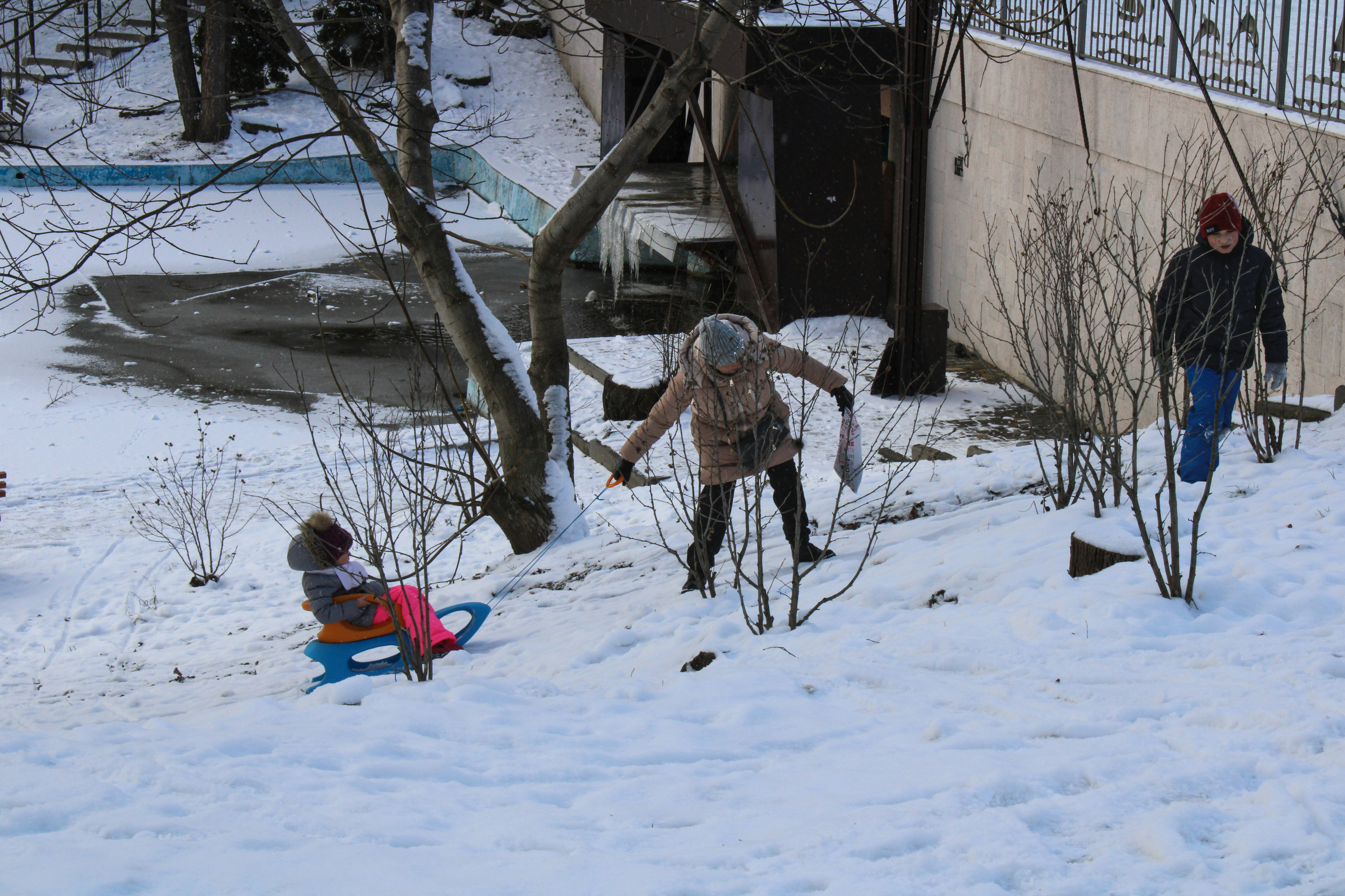 Un homme dévalant une pente enneigée à skis