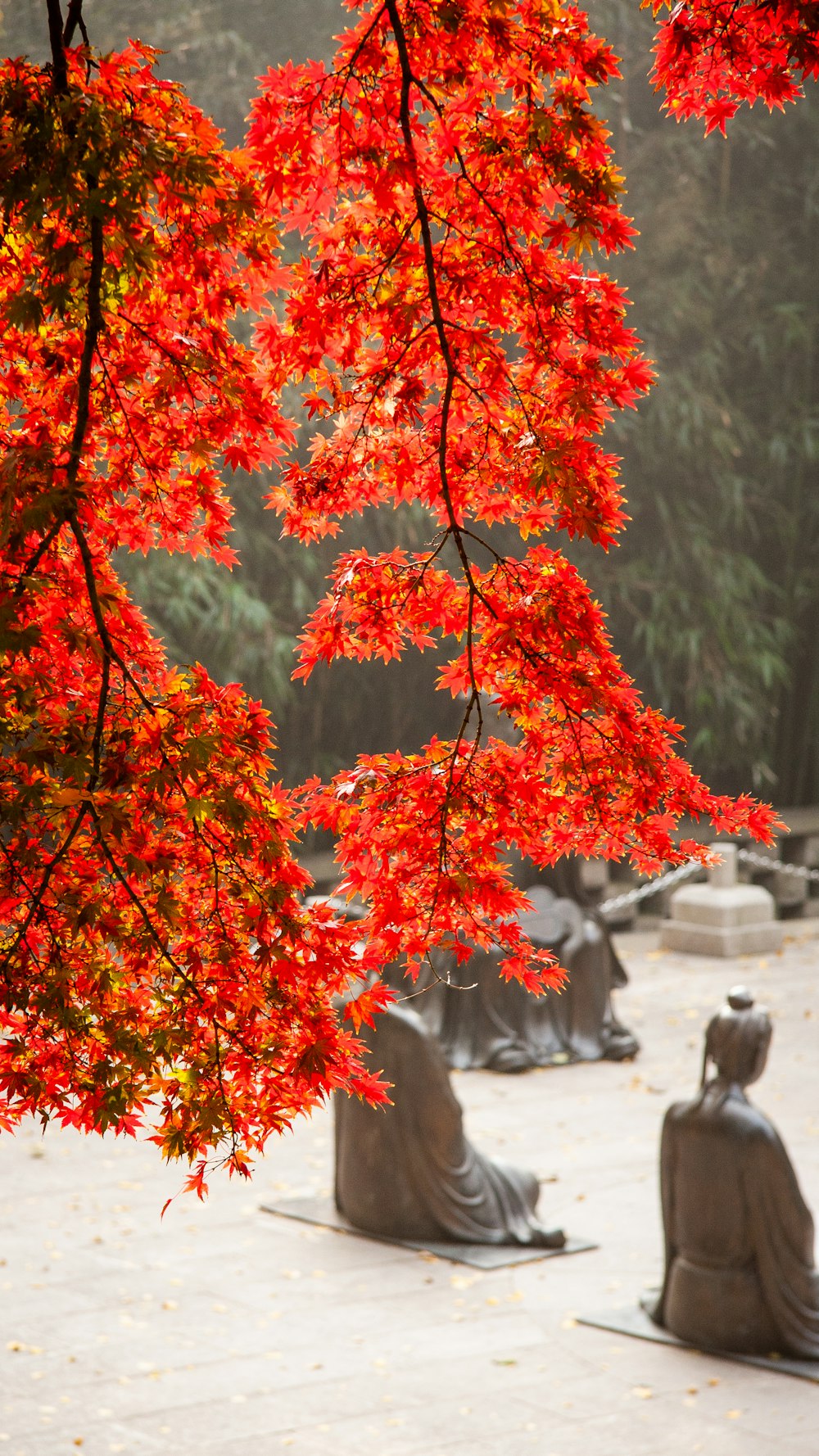 um par de estátuas sentadas sob uma árvore vermelha