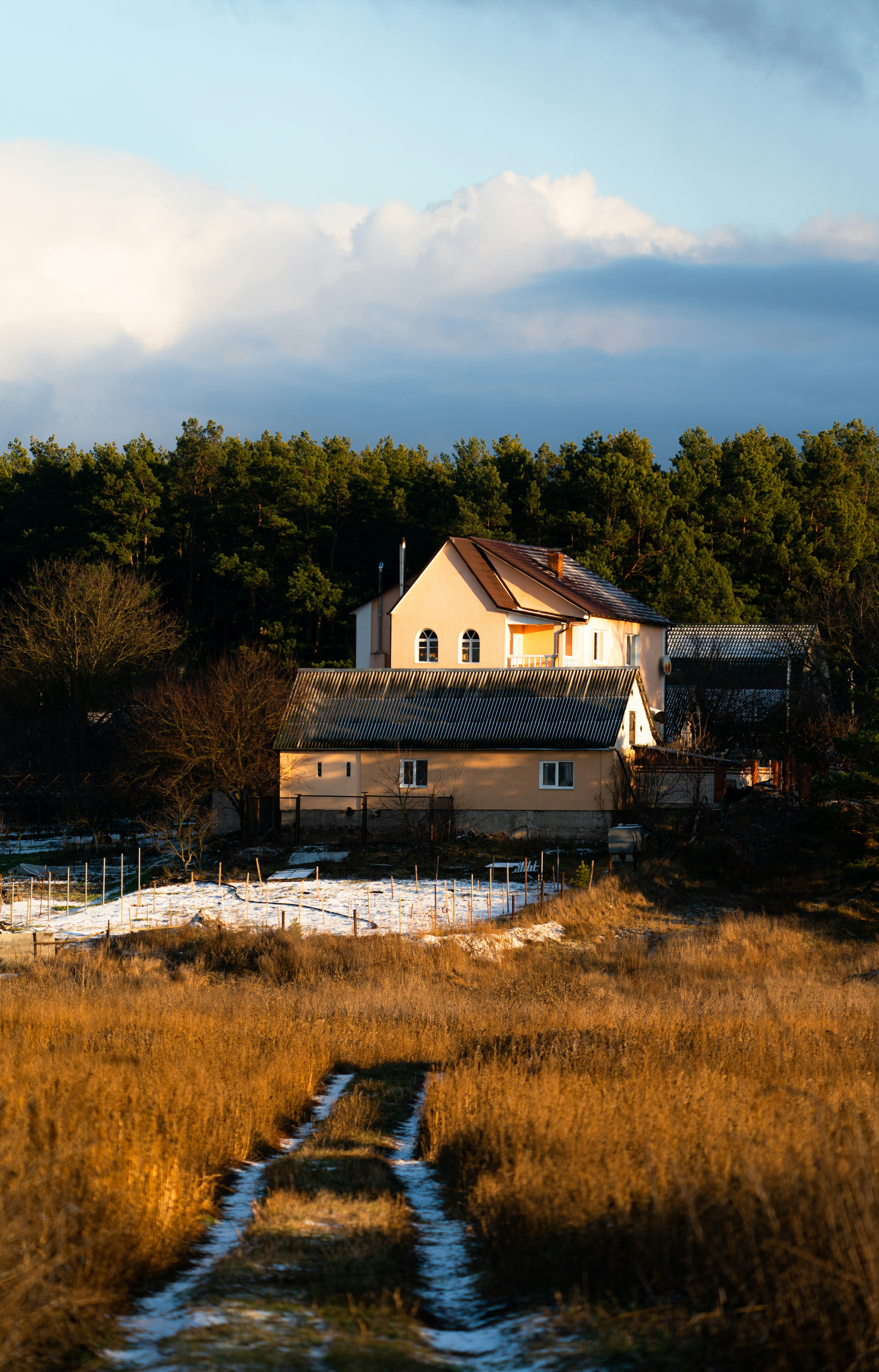 Photo by vmelnyk