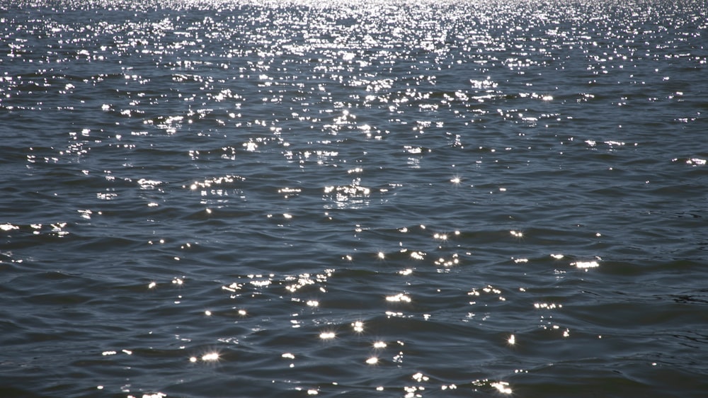 a large body of water with lots of bubbles