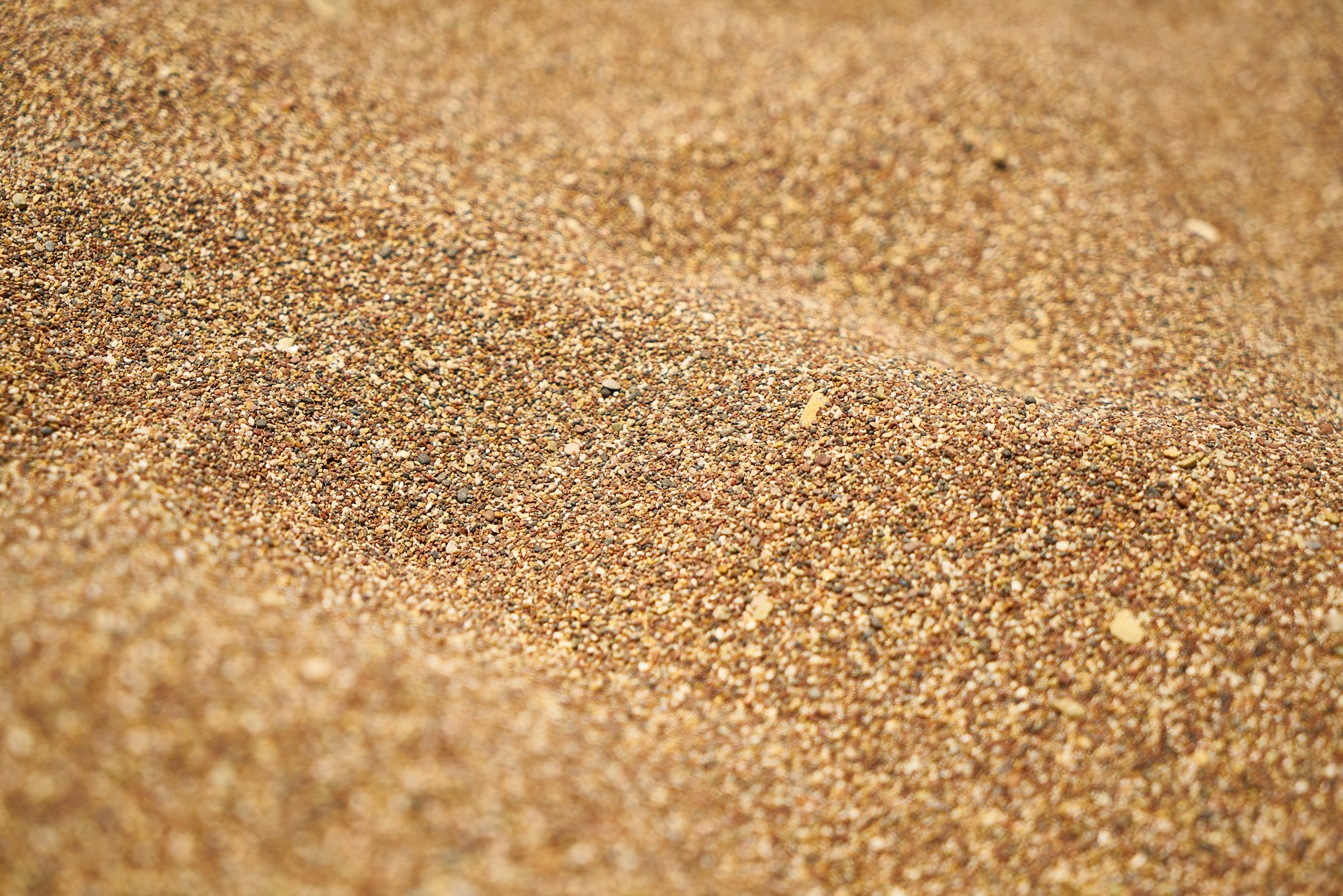 sandy beach close up