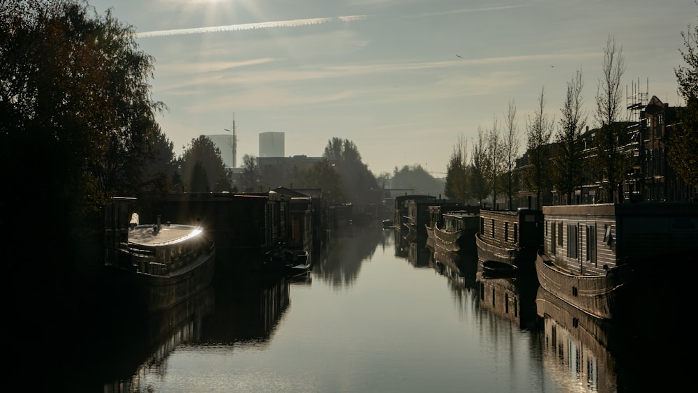 a body of water surrounded by trees and buildings