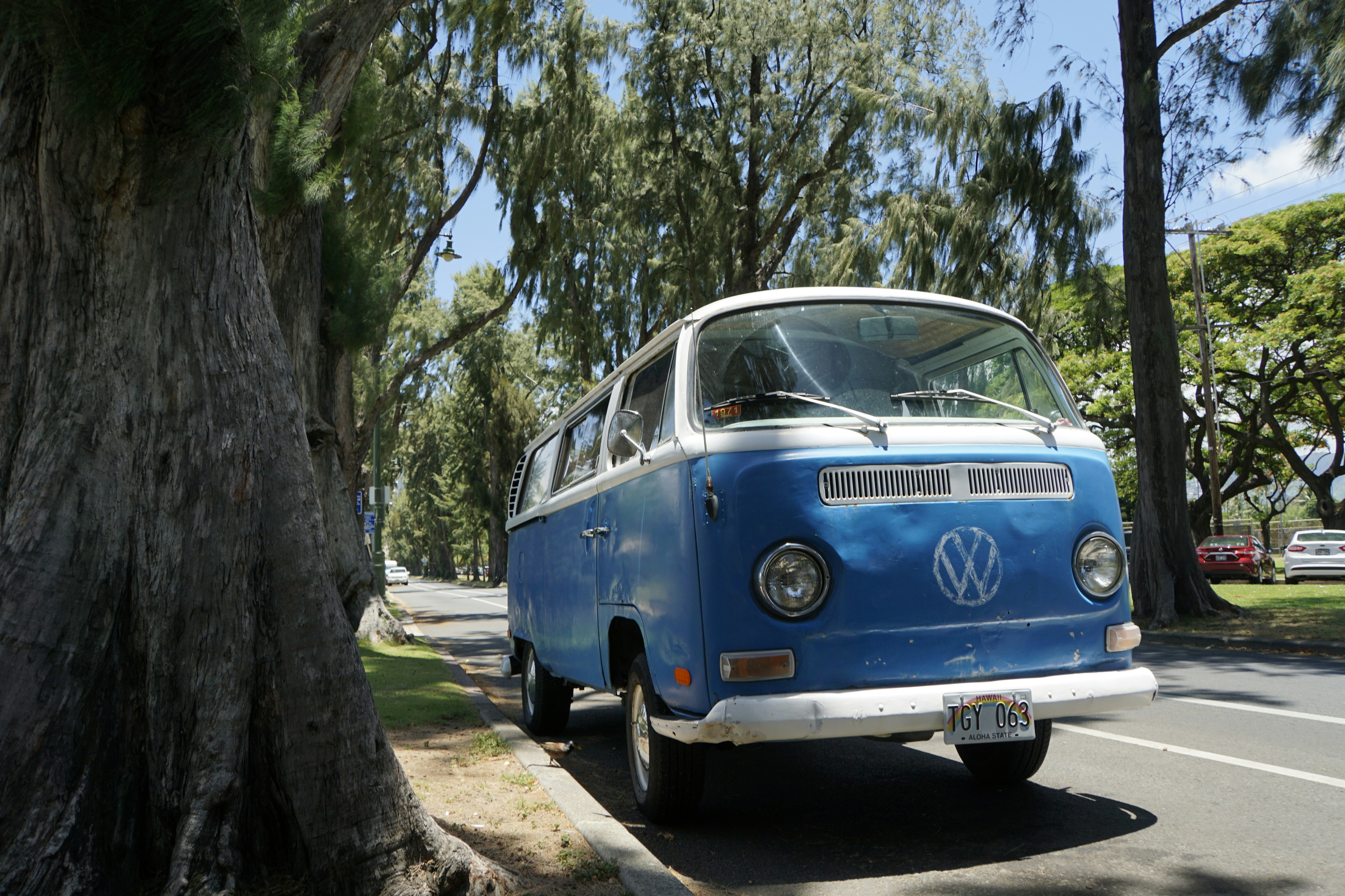a blue and white van parked next to a tree
