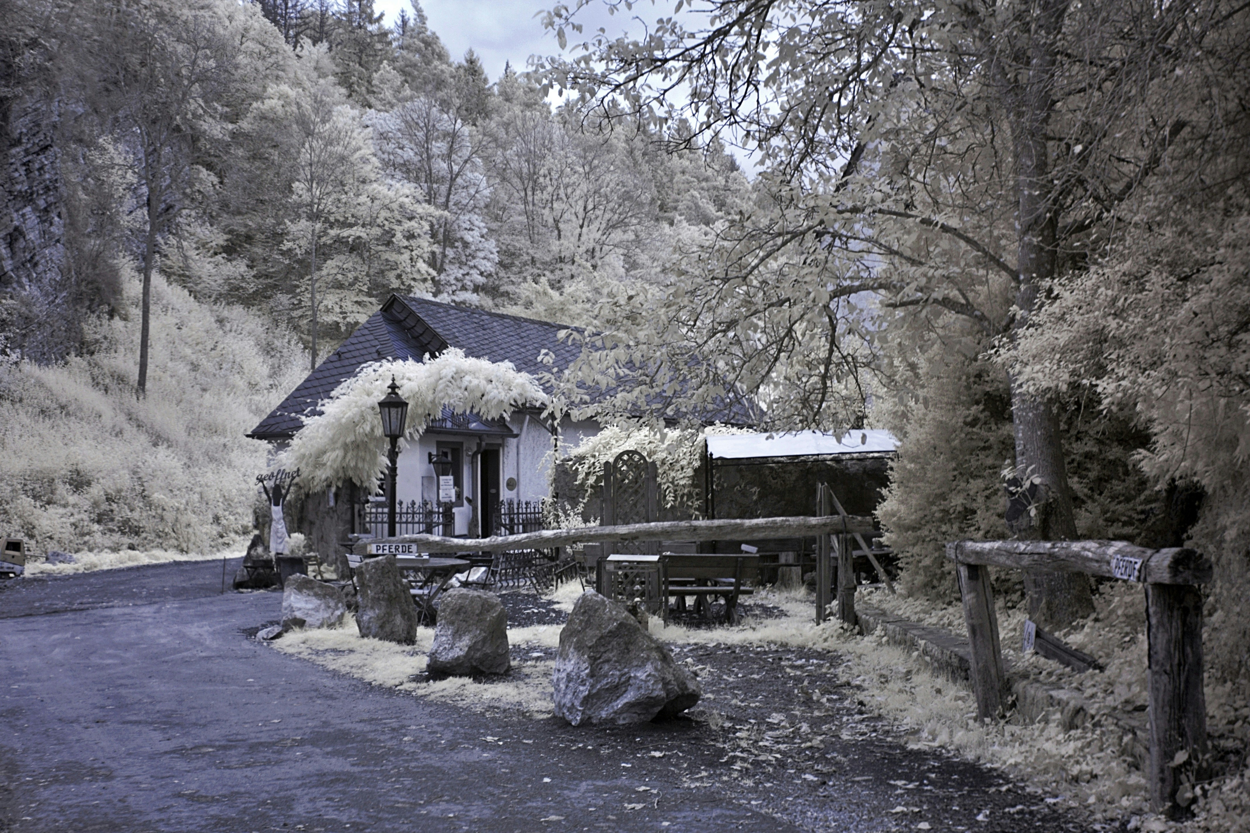a black and white photo of a house in the woods