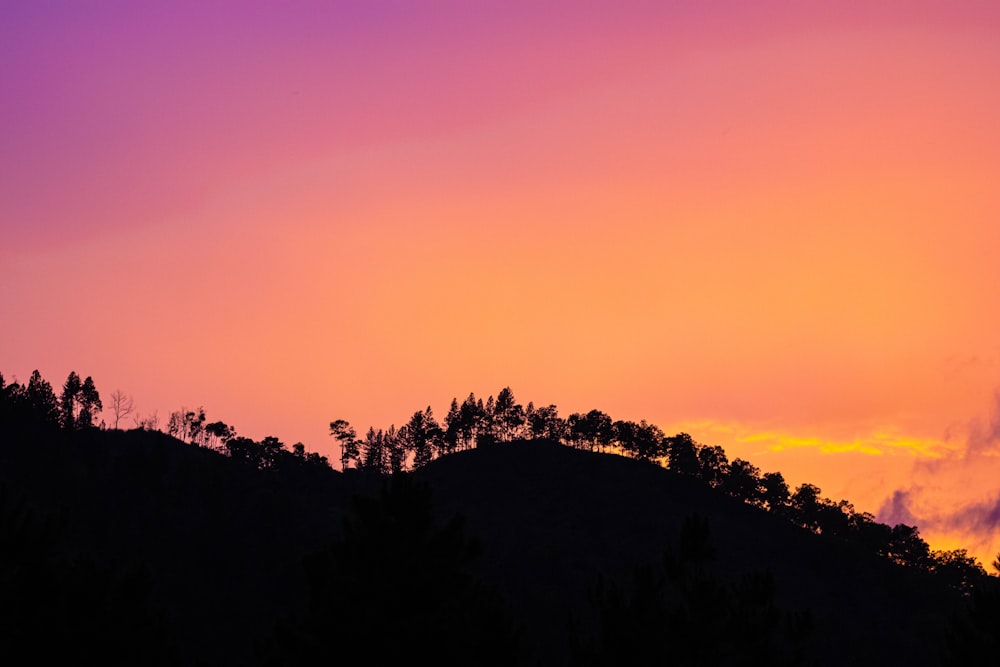 a hill with trees and a sky in the background