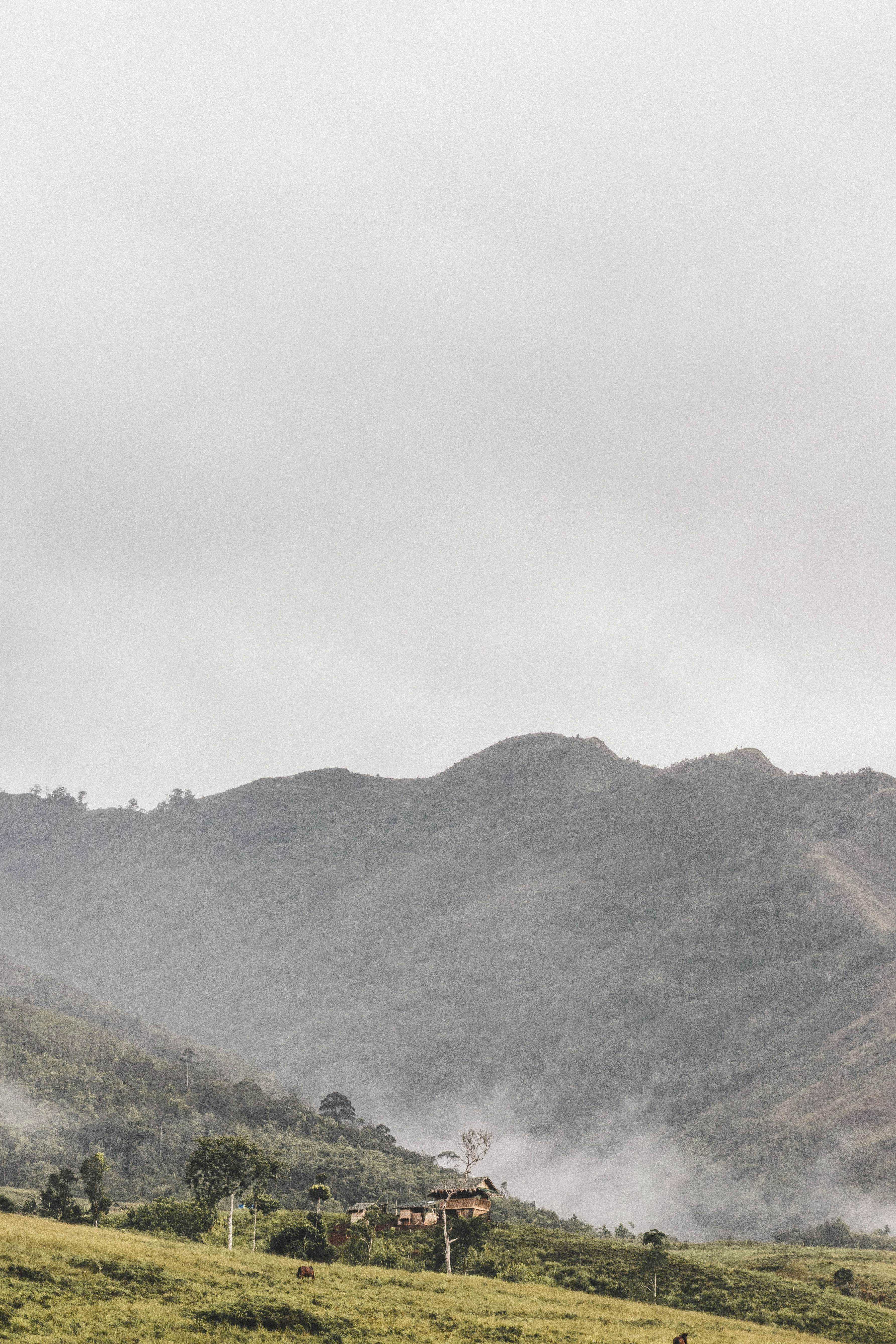 Photo by omiplekevin