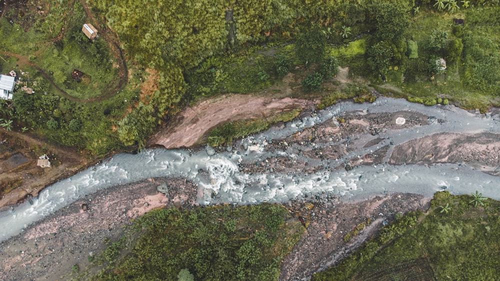 a river flowing through a lush green forest