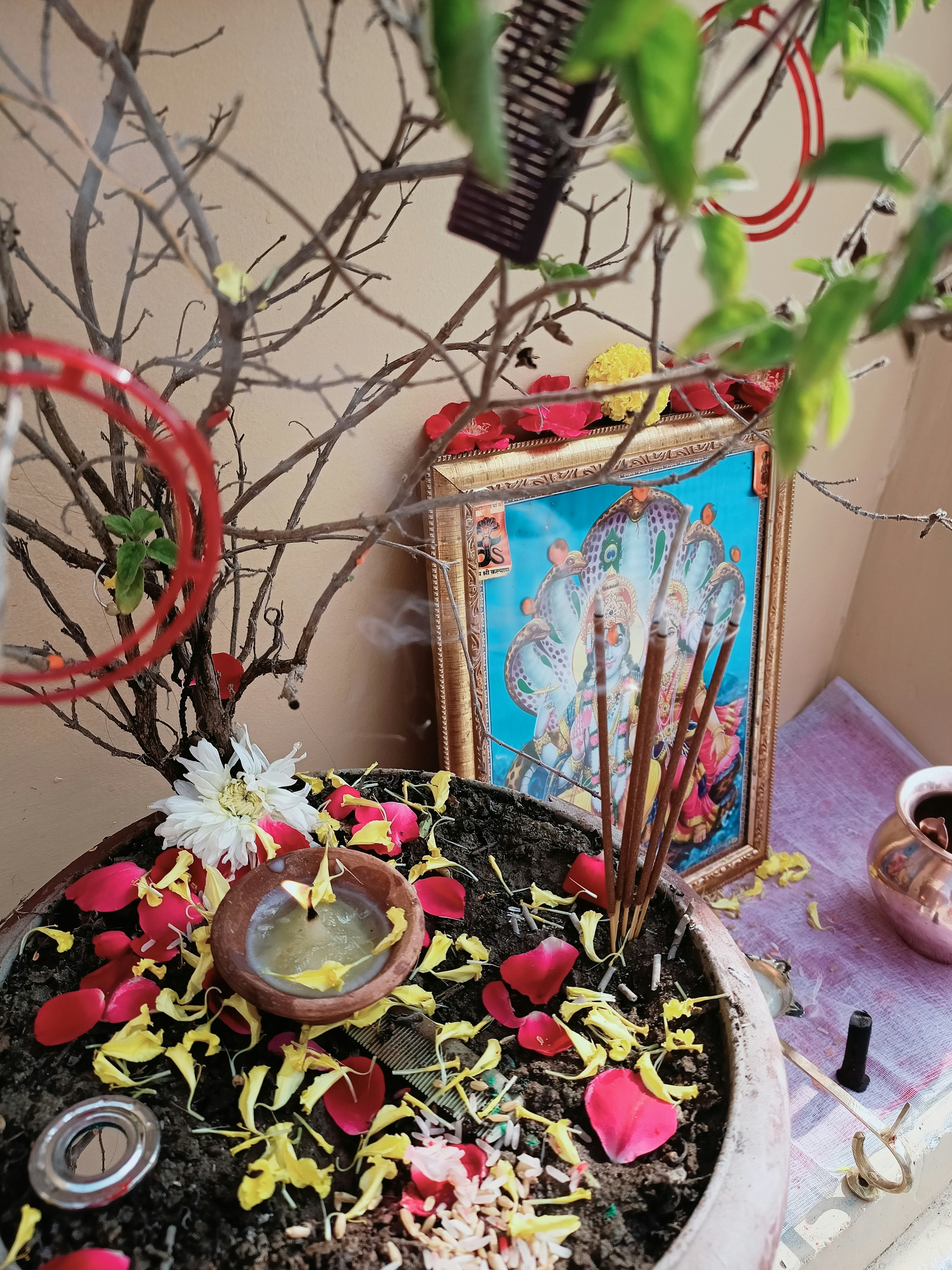 7 Vastu Remedies for Financial Stability