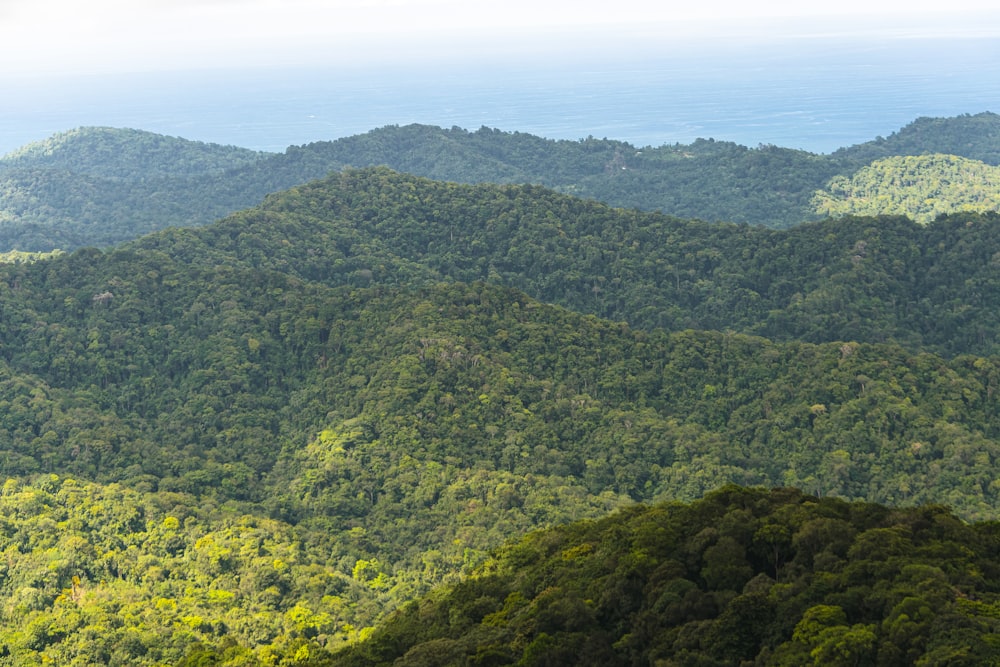 a view of a mountain range with a body of water in the distance