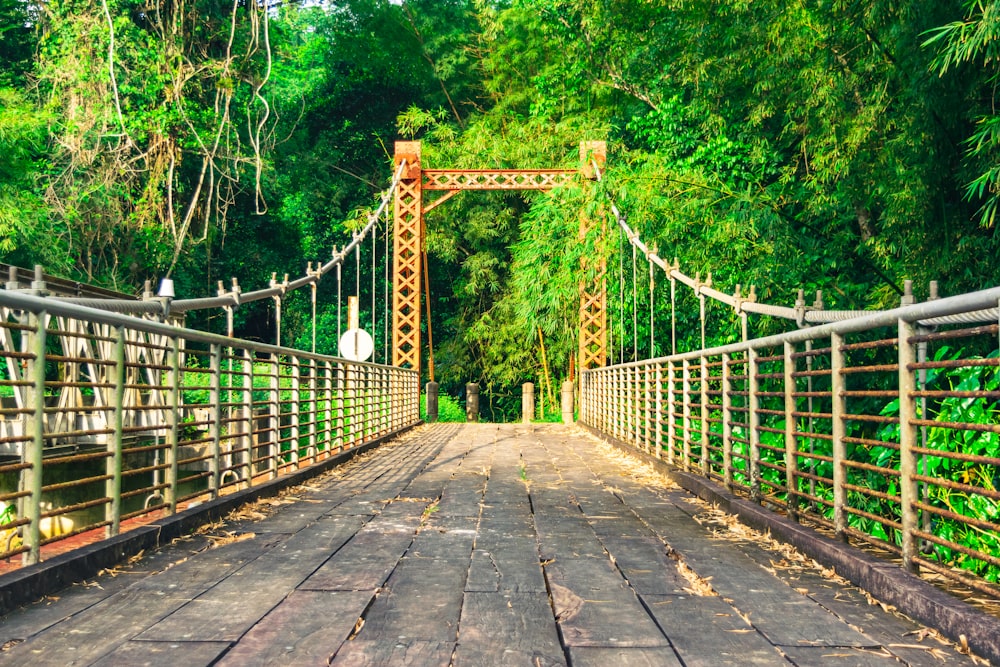 a wooden bridge surrounded by lush green trees