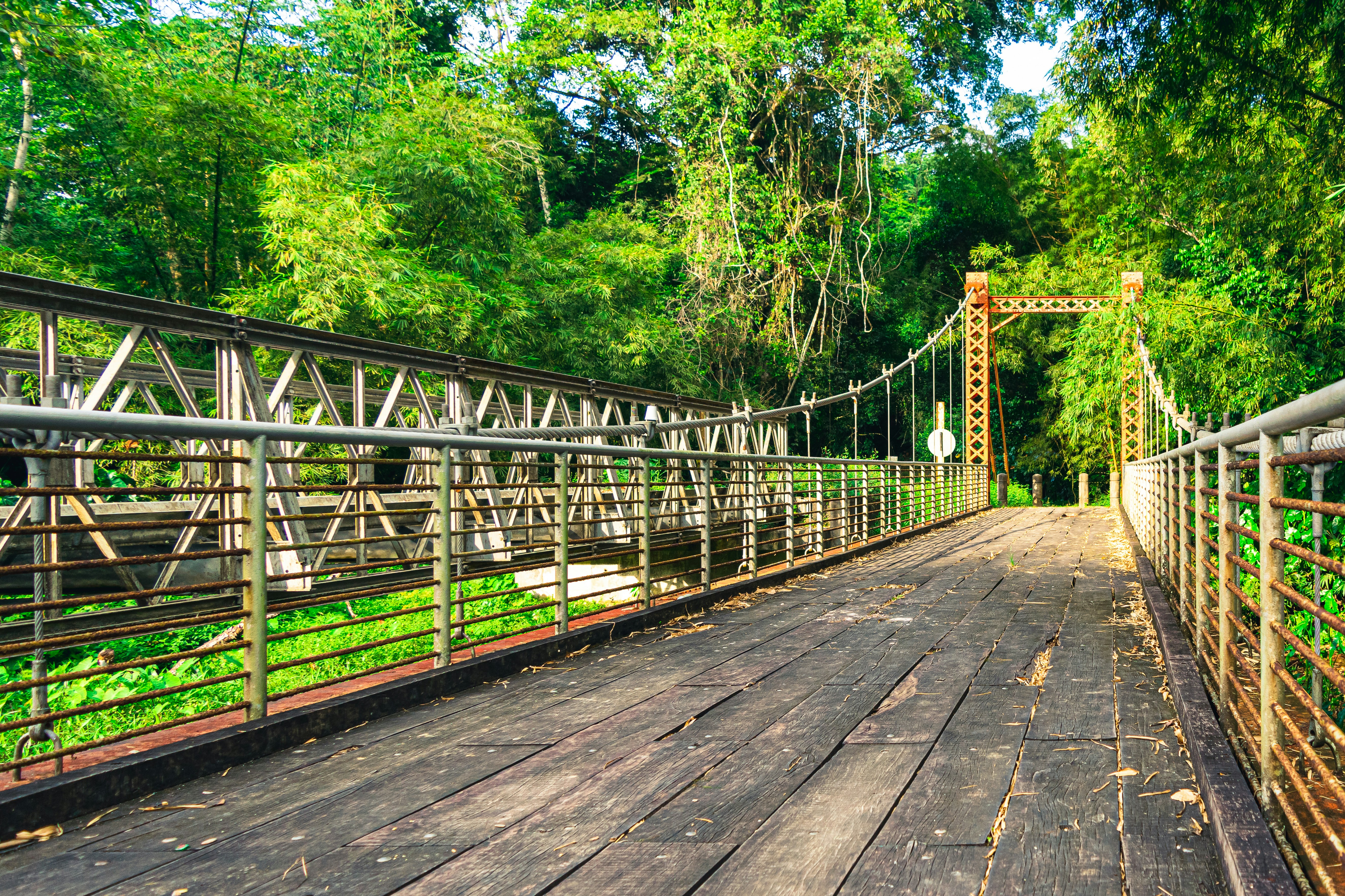 a wooden bridge with metal railings and a forest in the background