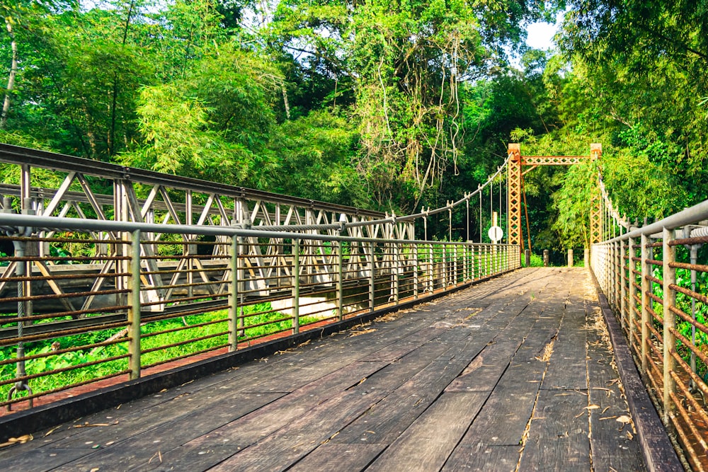 a wooden bridge with metal railings and a forest in the background