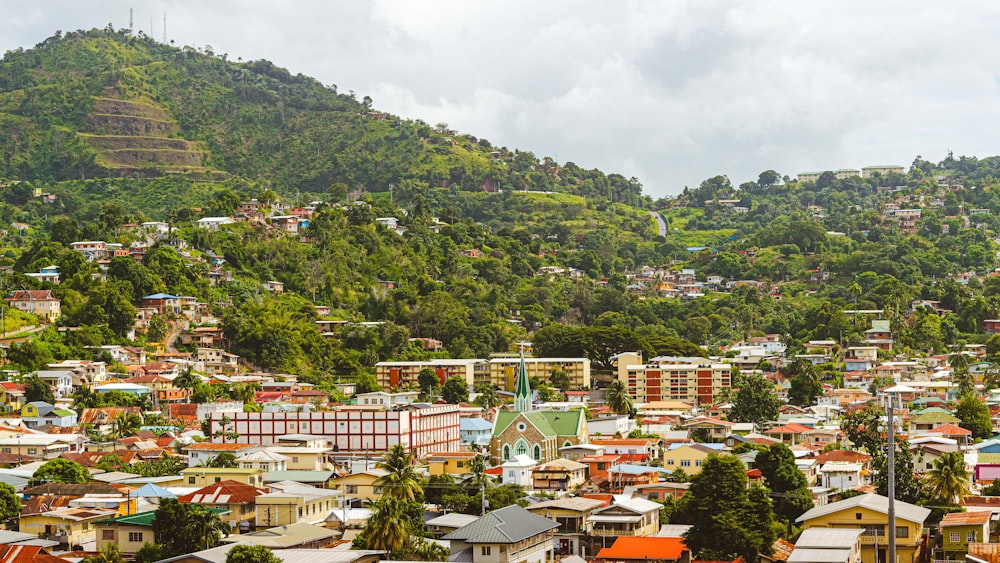 a view of a city with a mountain in the background