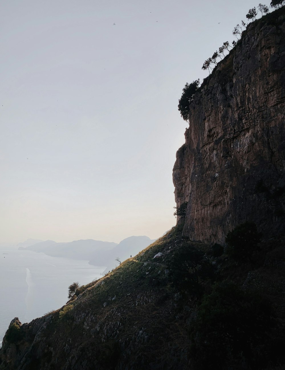 a cliff with a tree growing on top of it